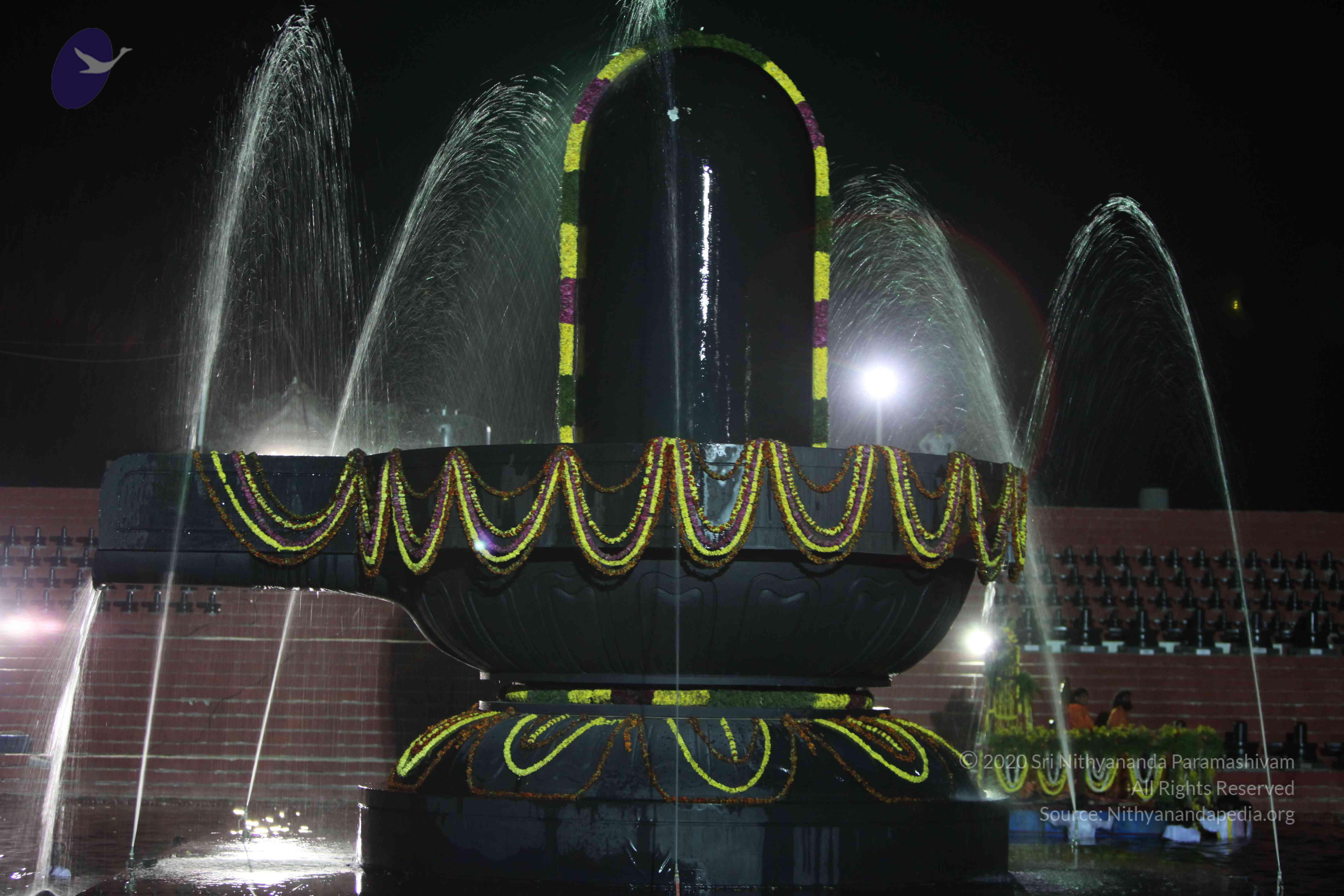 2010_01_04_IMG_0078_CMP_WM