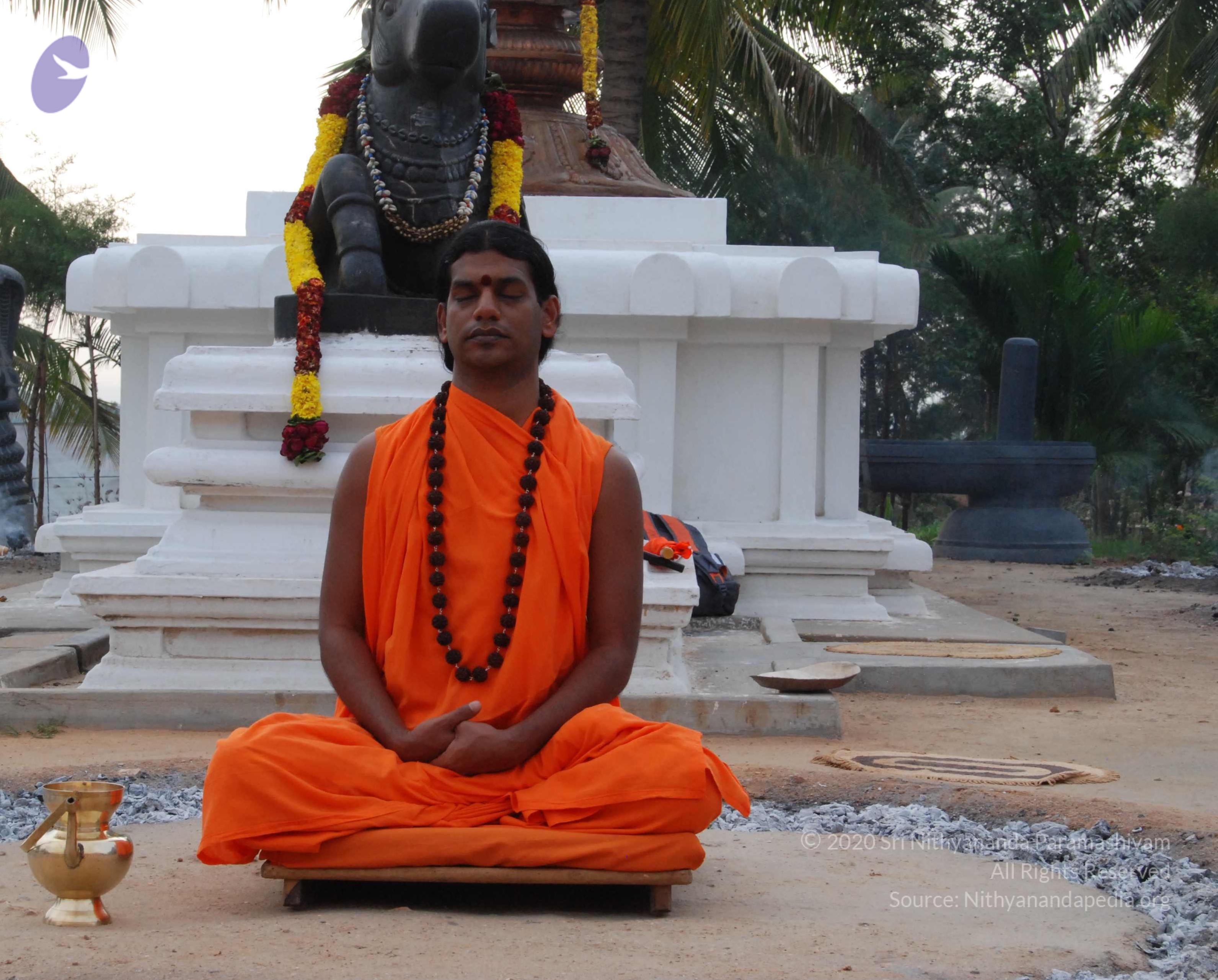 DSC_9992_CMP_WM Done