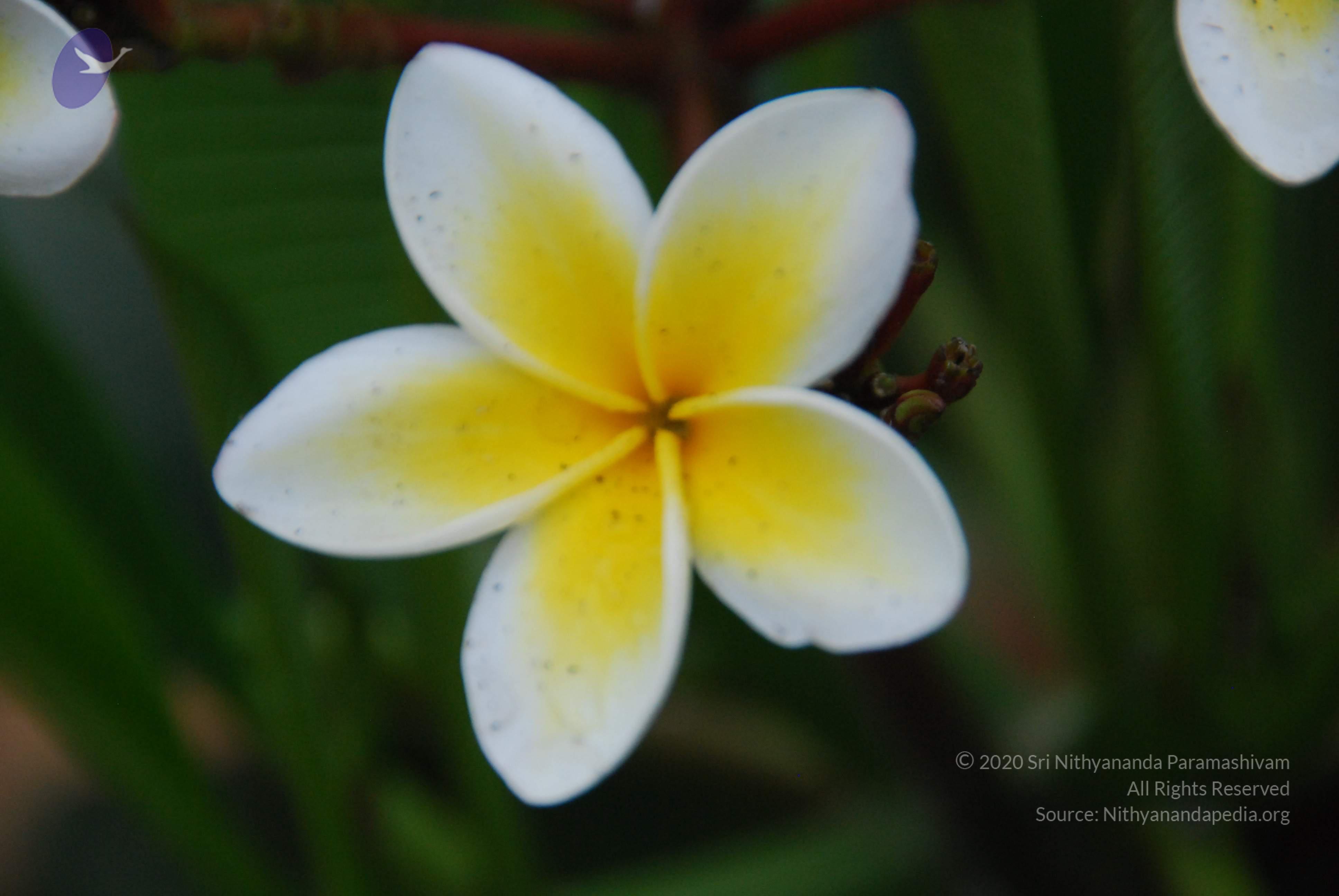 20100729_Photo_1003_DSC_5652_CMP_WM