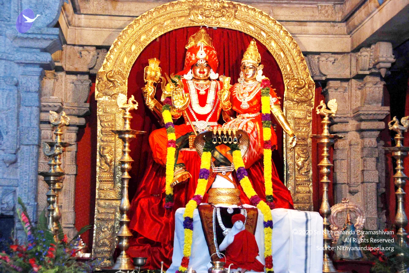 20100729_Photo_1004_DSC_5607_CMP_WM