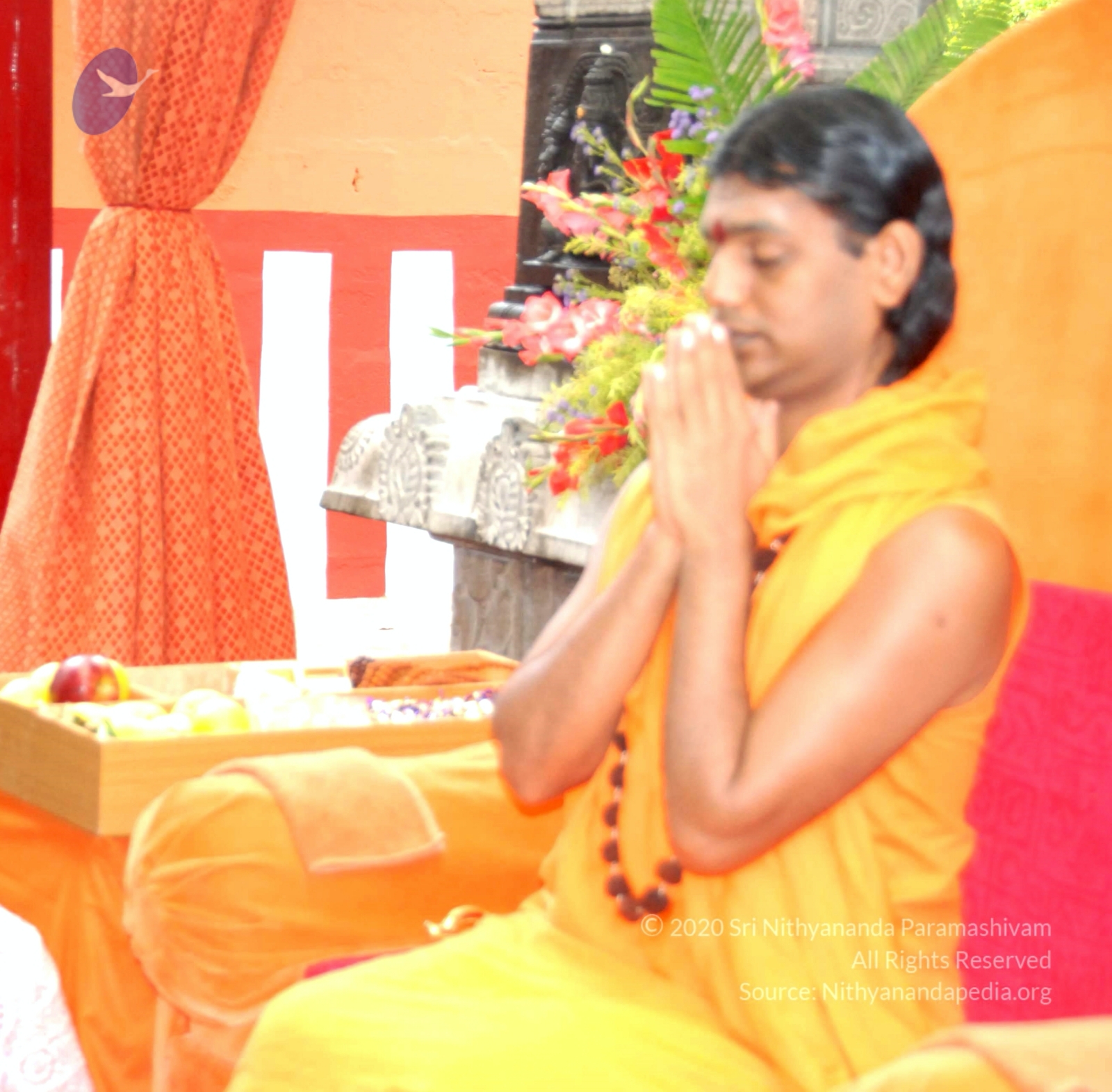 20100729_Photo_1007_DSC_5697_CMP_WM