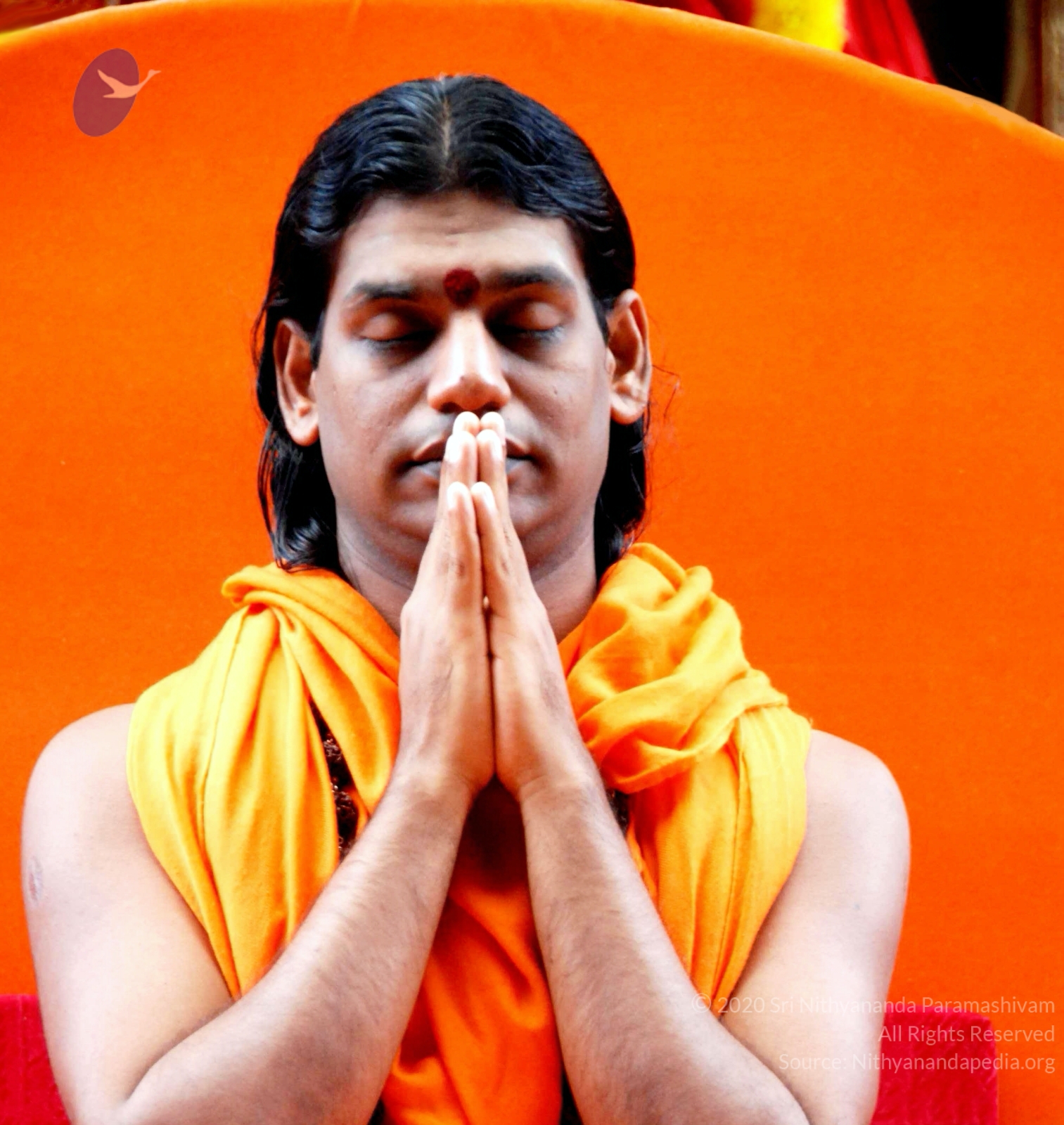 20100729_Photo_1011_DSC_5686_CMP_WM