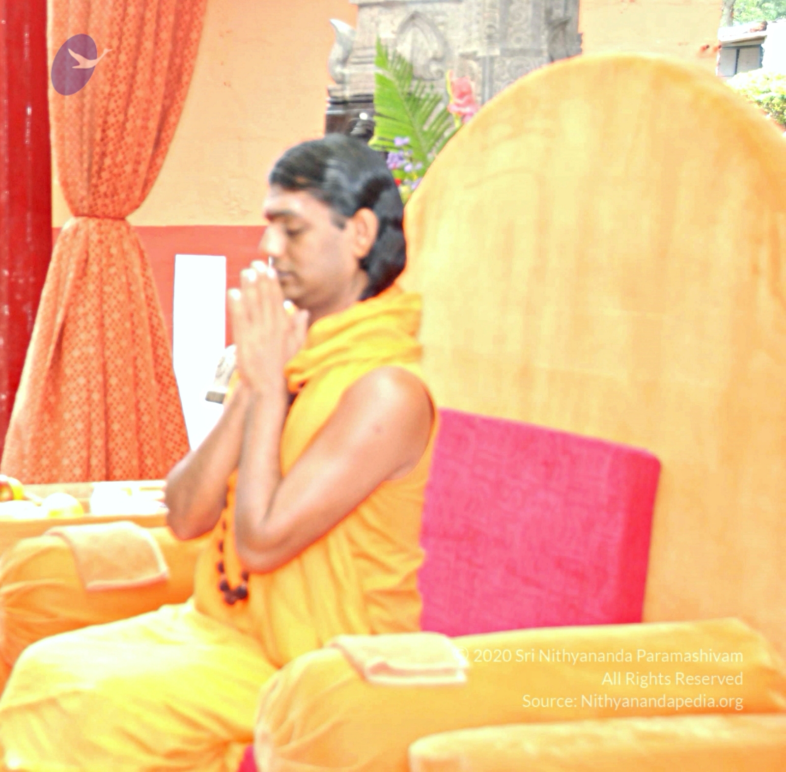 20100729_Photo_1023_DSC_5695_CMP_WM