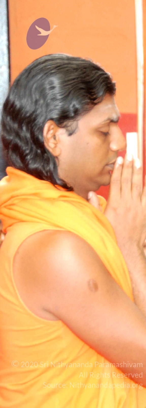 20100729_Photo_1045_DSC_5694_CMP_WM