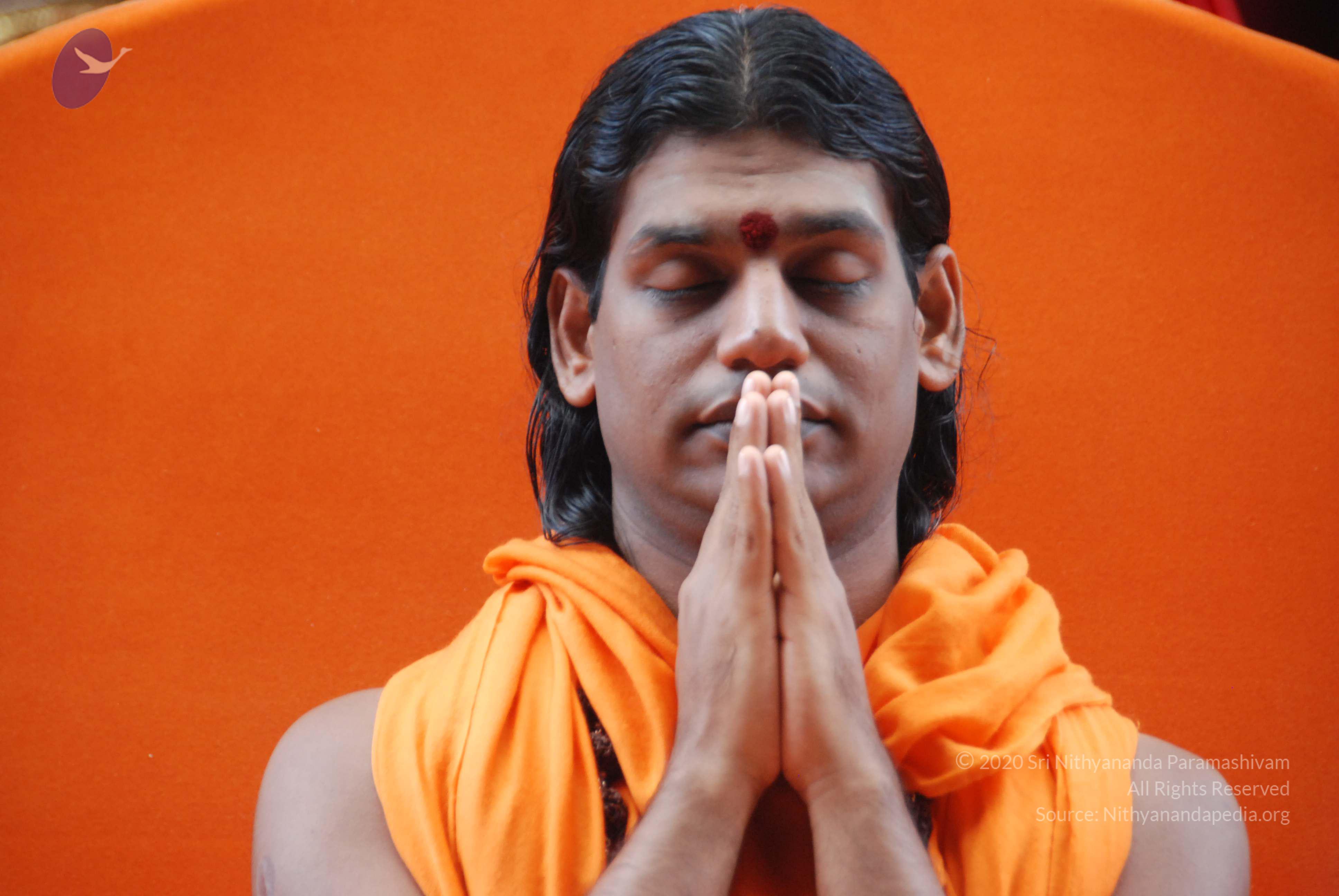 20100729_Photo_1052_DSC_5685_CMP_WM