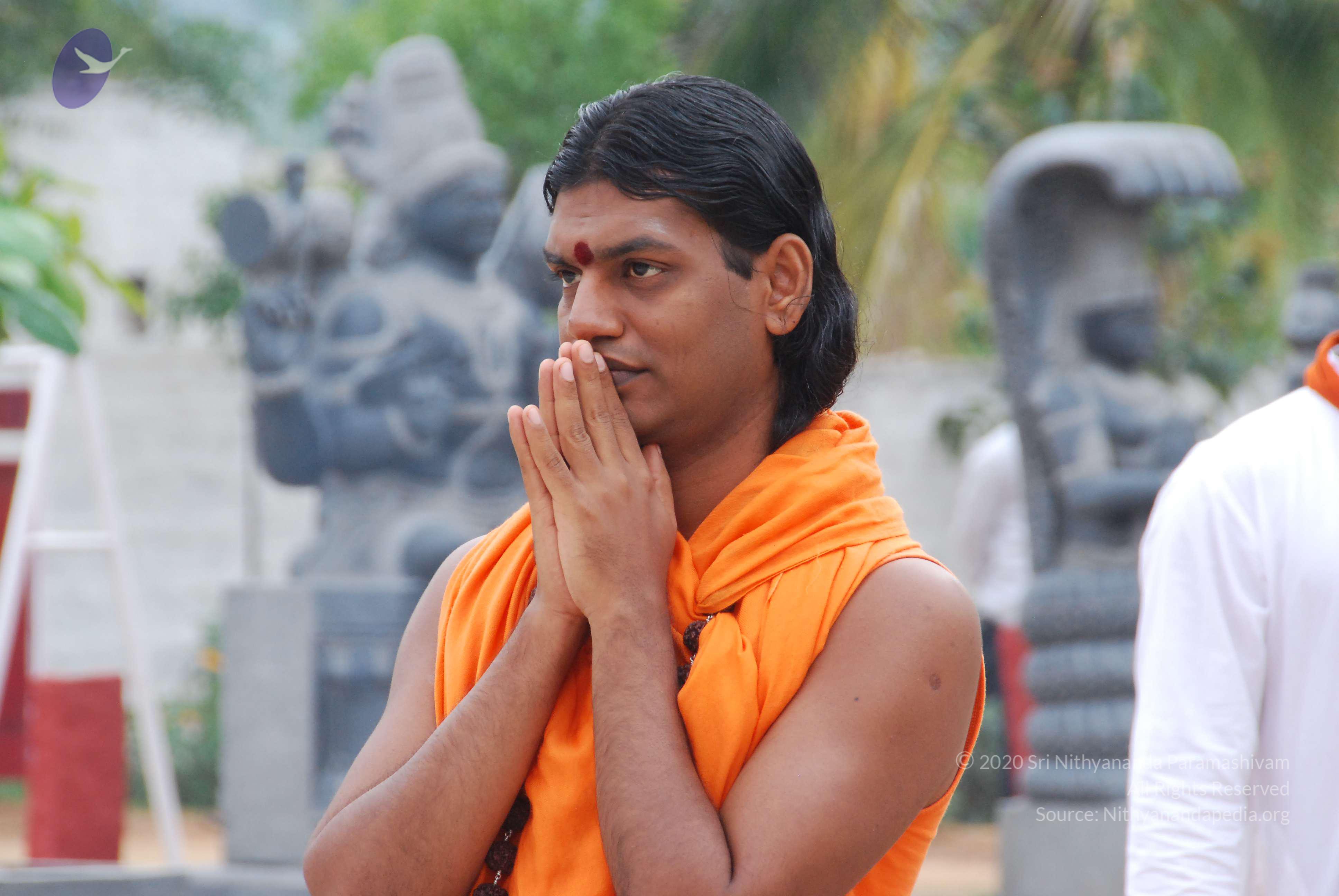 20100729_Photo_1000_DSC_5797_CMP_WM