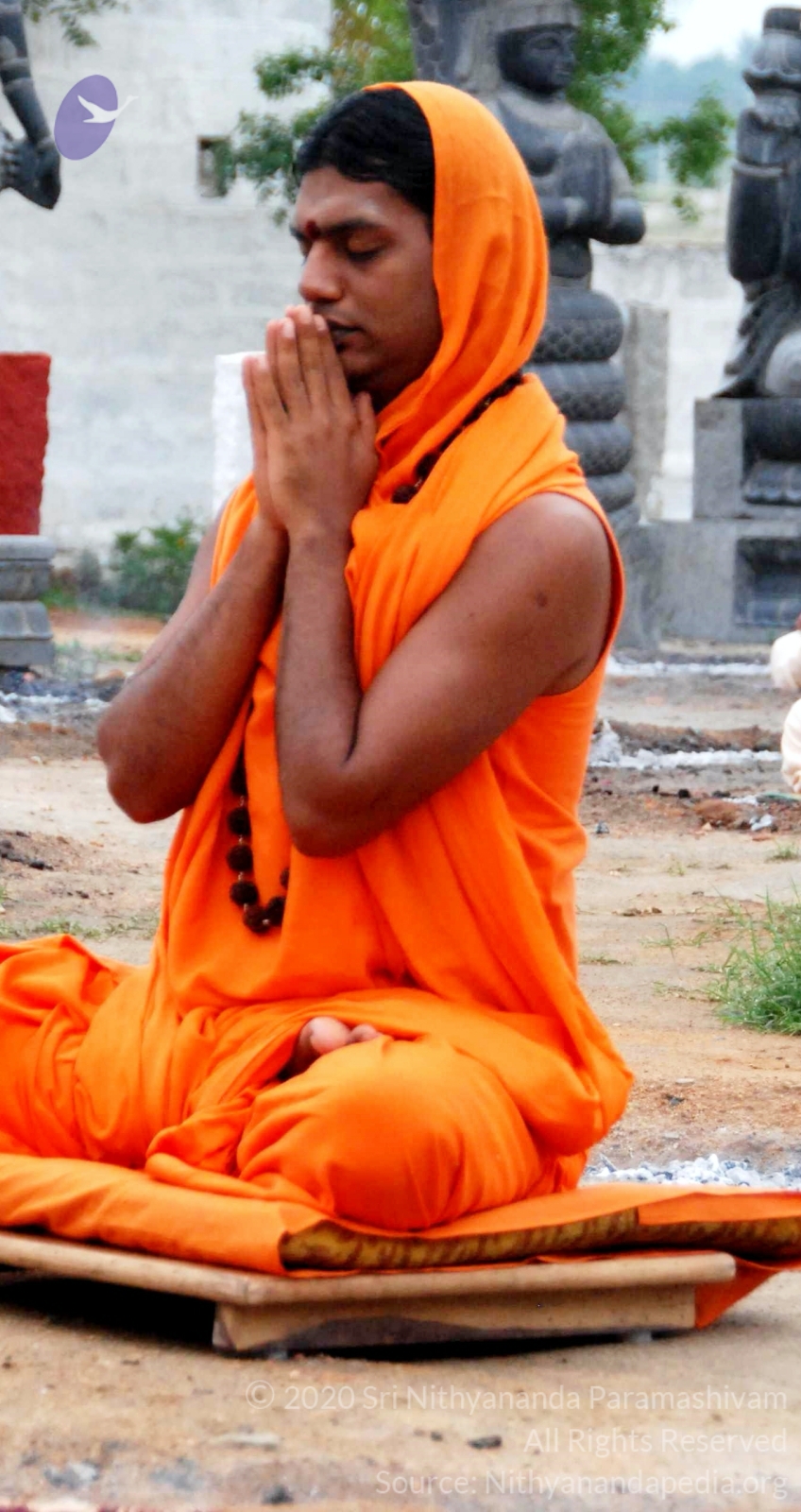 20100729_Photo_1005_DSC_5671_CMP_WM