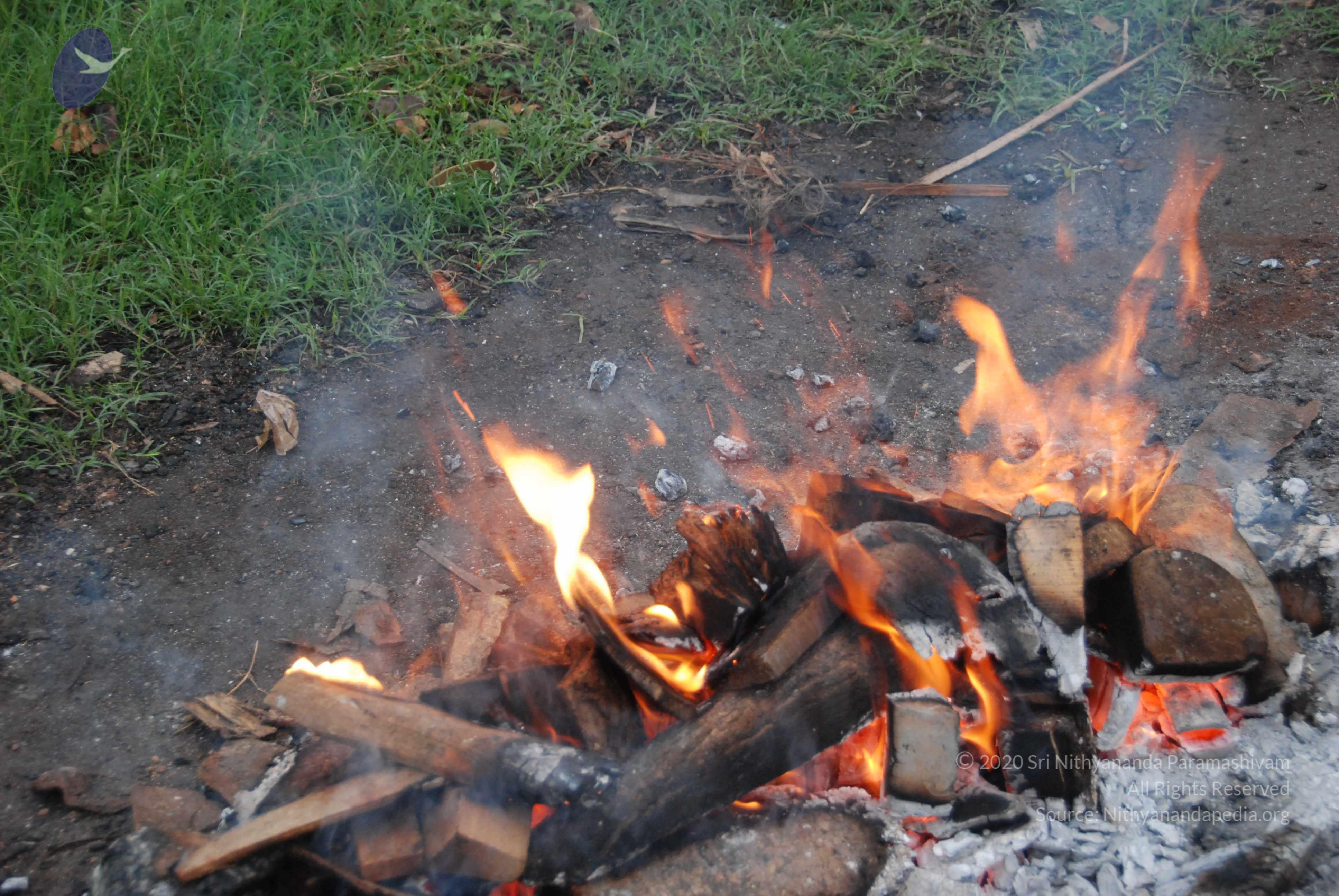 20100729_Photo_1006_DSC_5638_CMP_WM