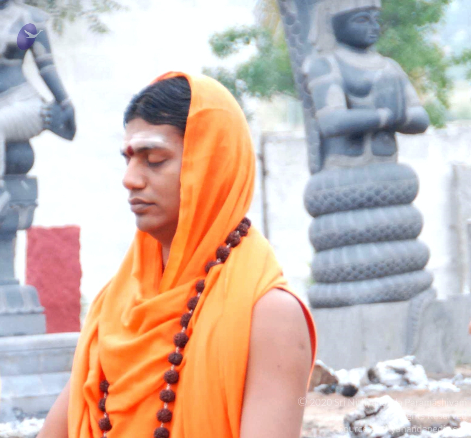 20100729_Photo_1008_DSC_5616_CMP_WM