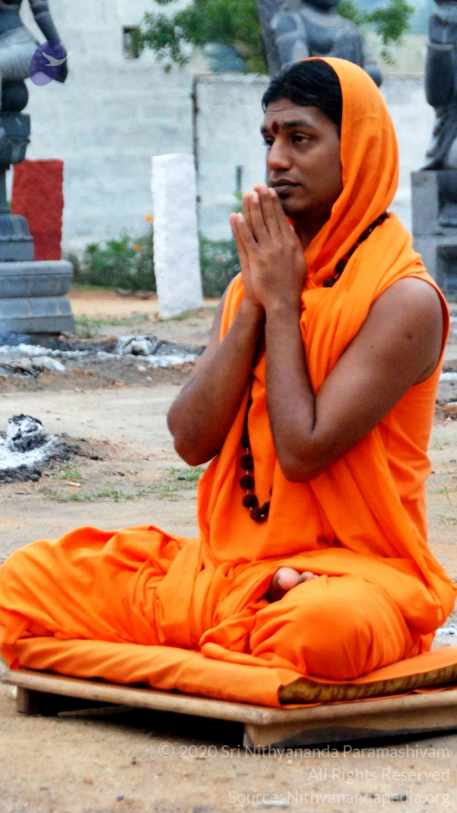 20100729_Photo_1009_DSC_5674_CMP_WM