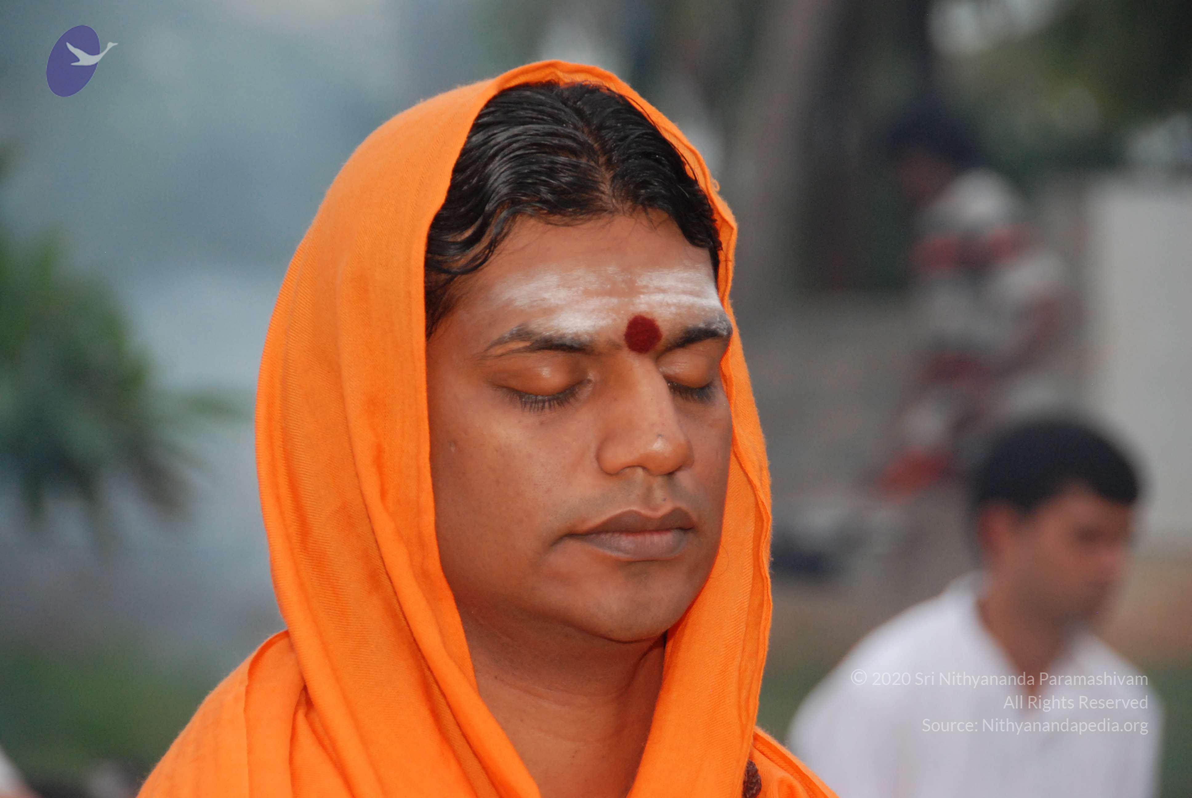 20100729_Photo_1011_DSC_5630_CMP_WM