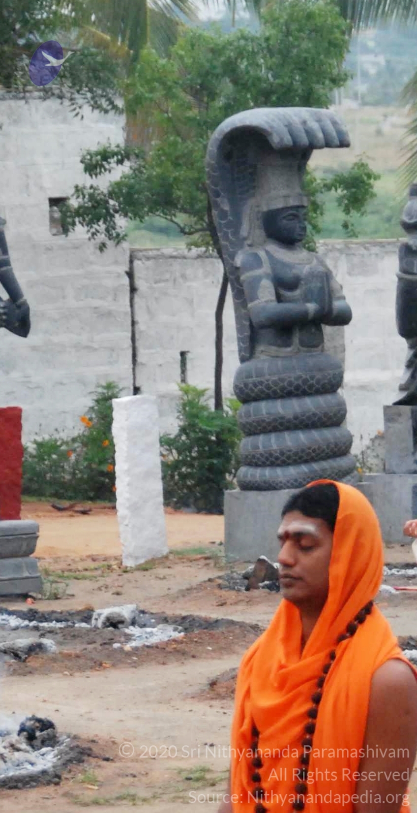 20100729_Photo_1013_DSC_5637_CMP_WM