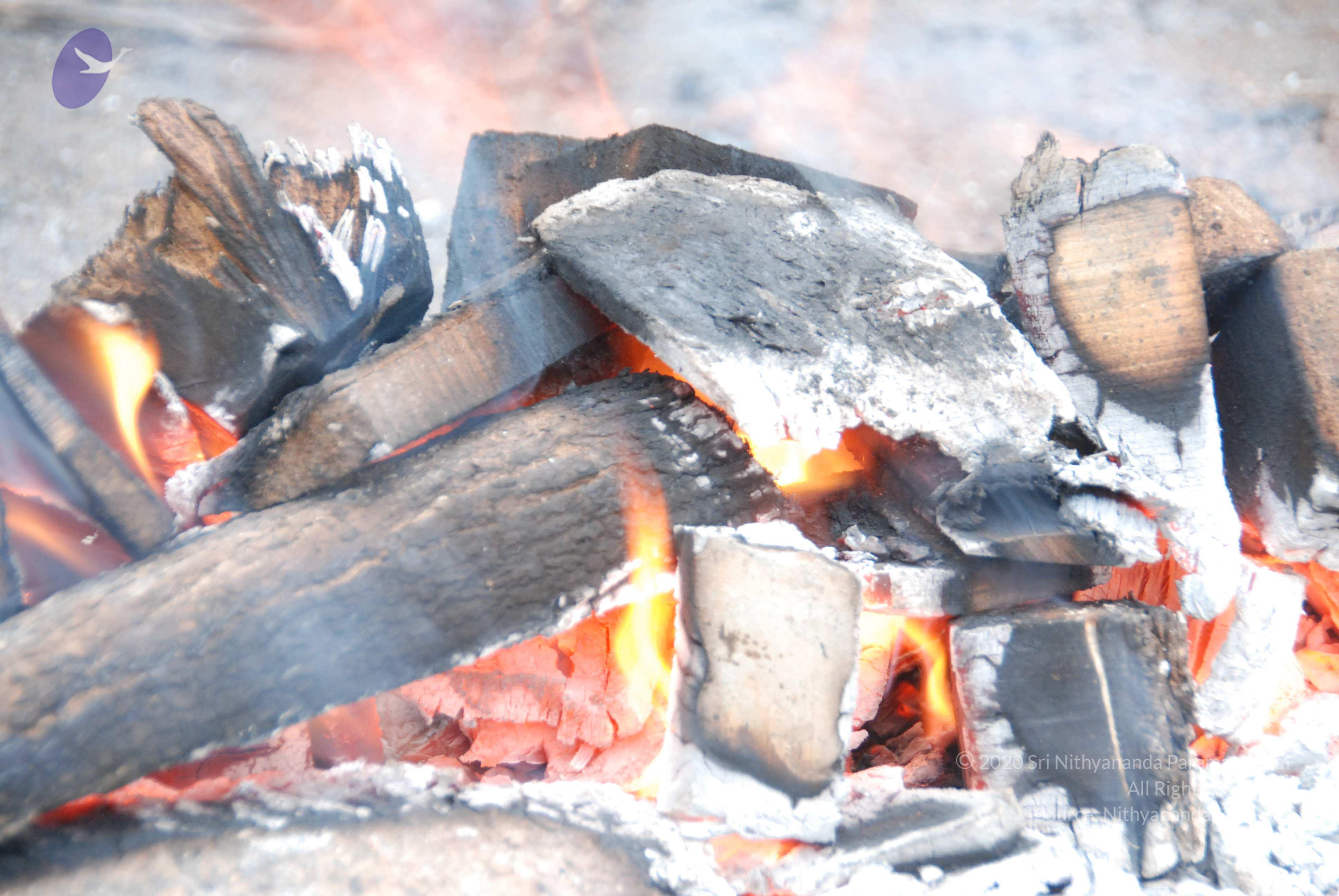 20100729_Photo_1019_DSC_5644_CMP_WM