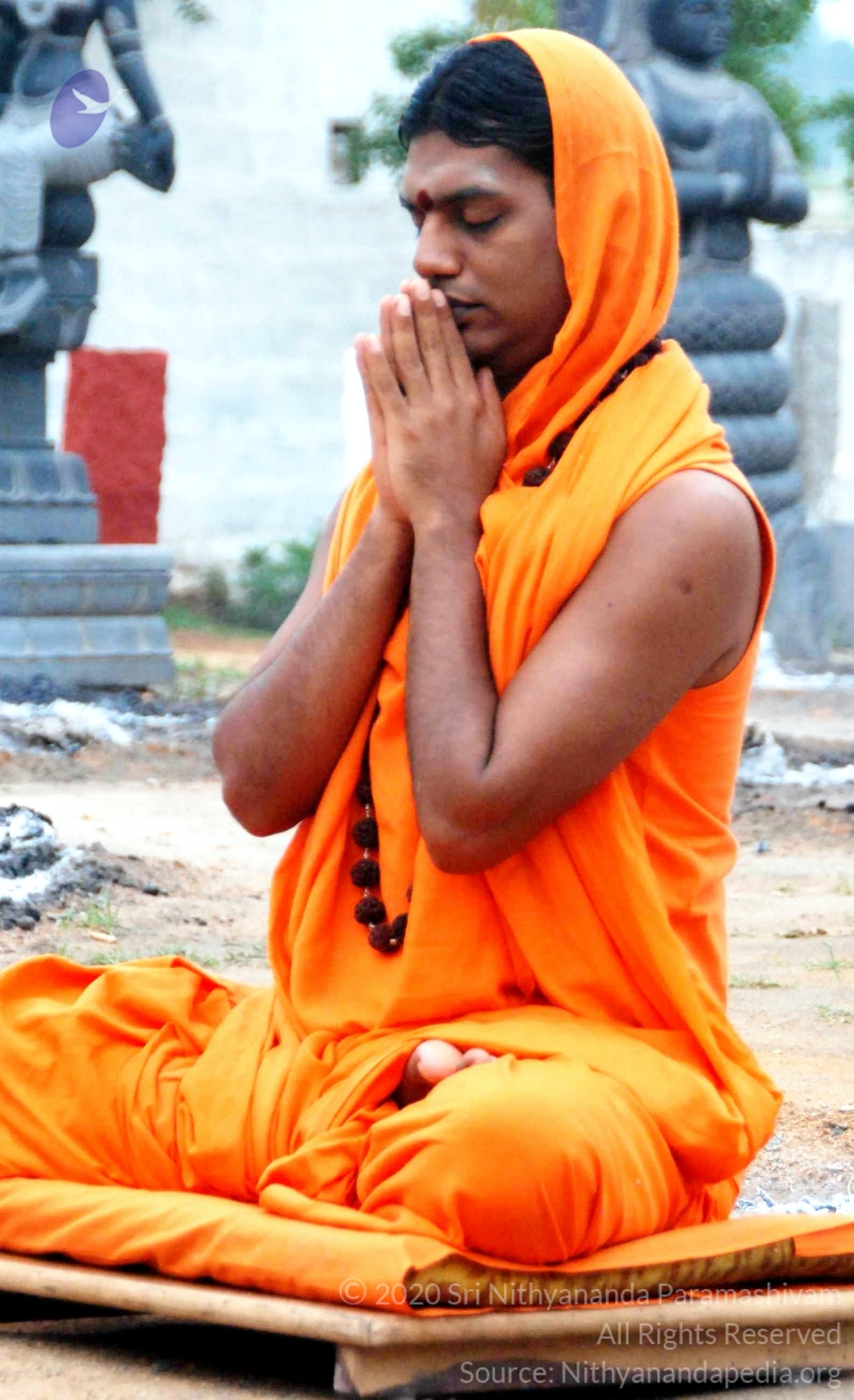 20100729_Photo_1020_DSC_5673_CMP_WM