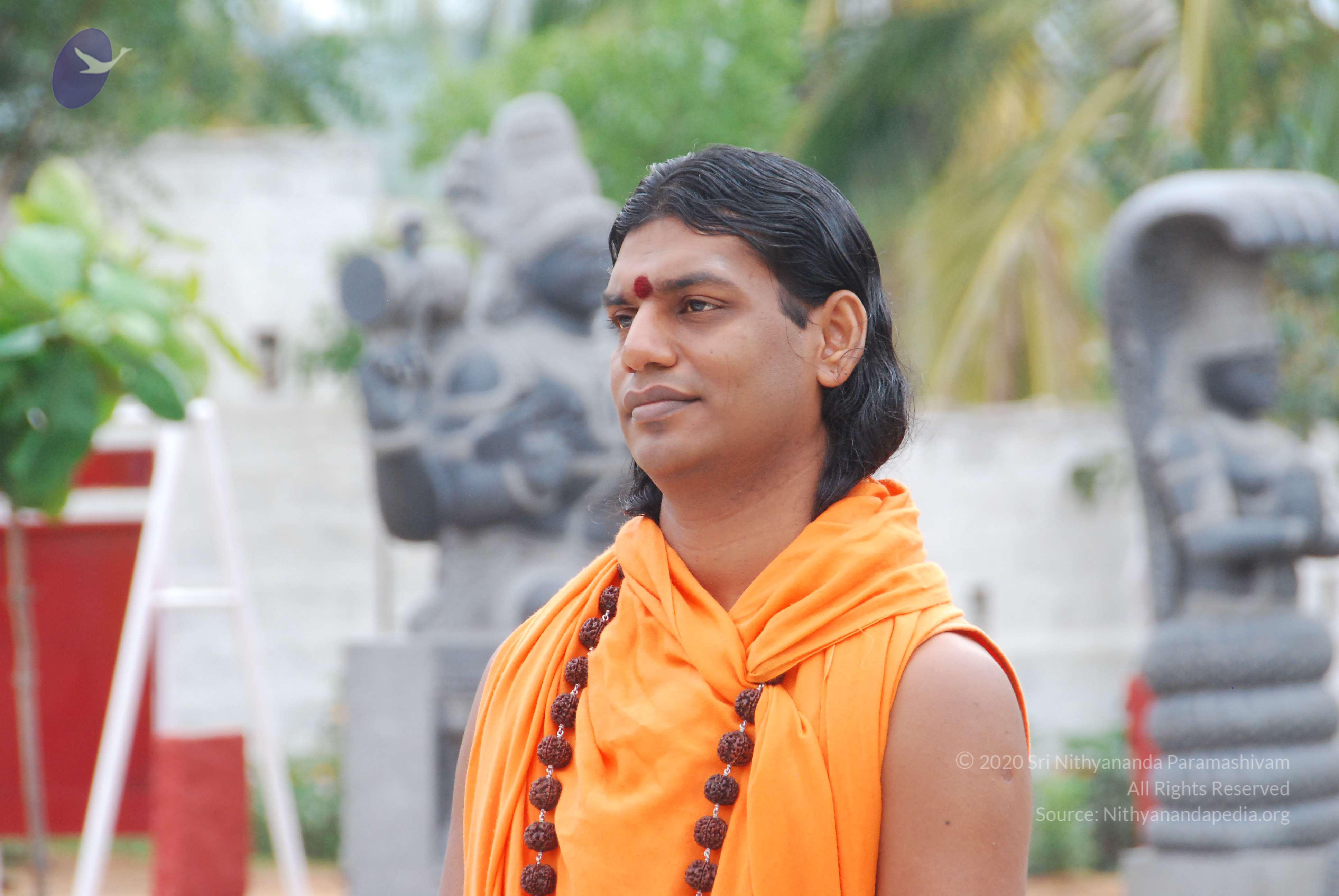 20100729_Photo_1021_DSC_5798_CMP_WM