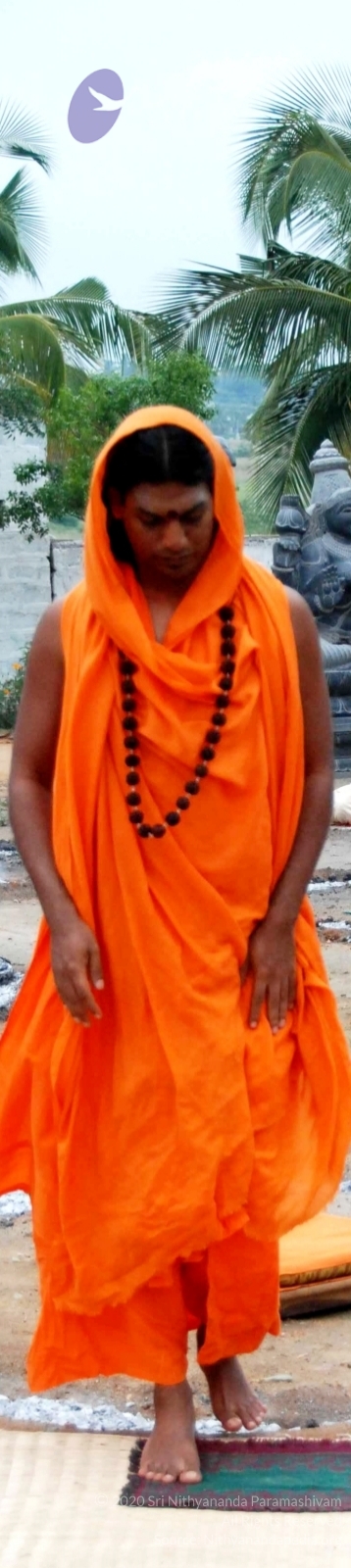 20100729_Photo_1022_DSC_5676_CMP_WM