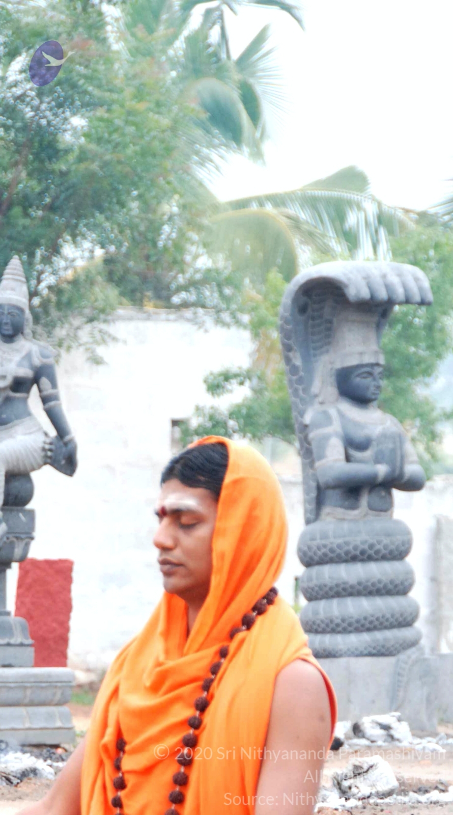 20100729_Photo_1026_DSC_5617_CMP_WM