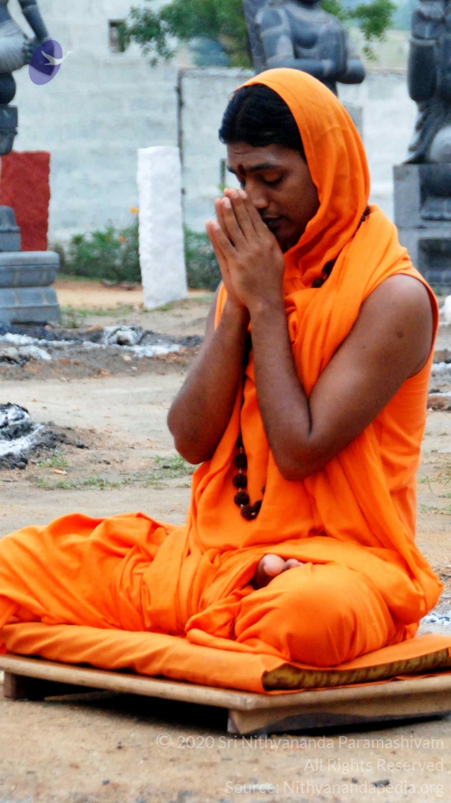 20100729_Photo_1027_DSC_5675_CMP_WM