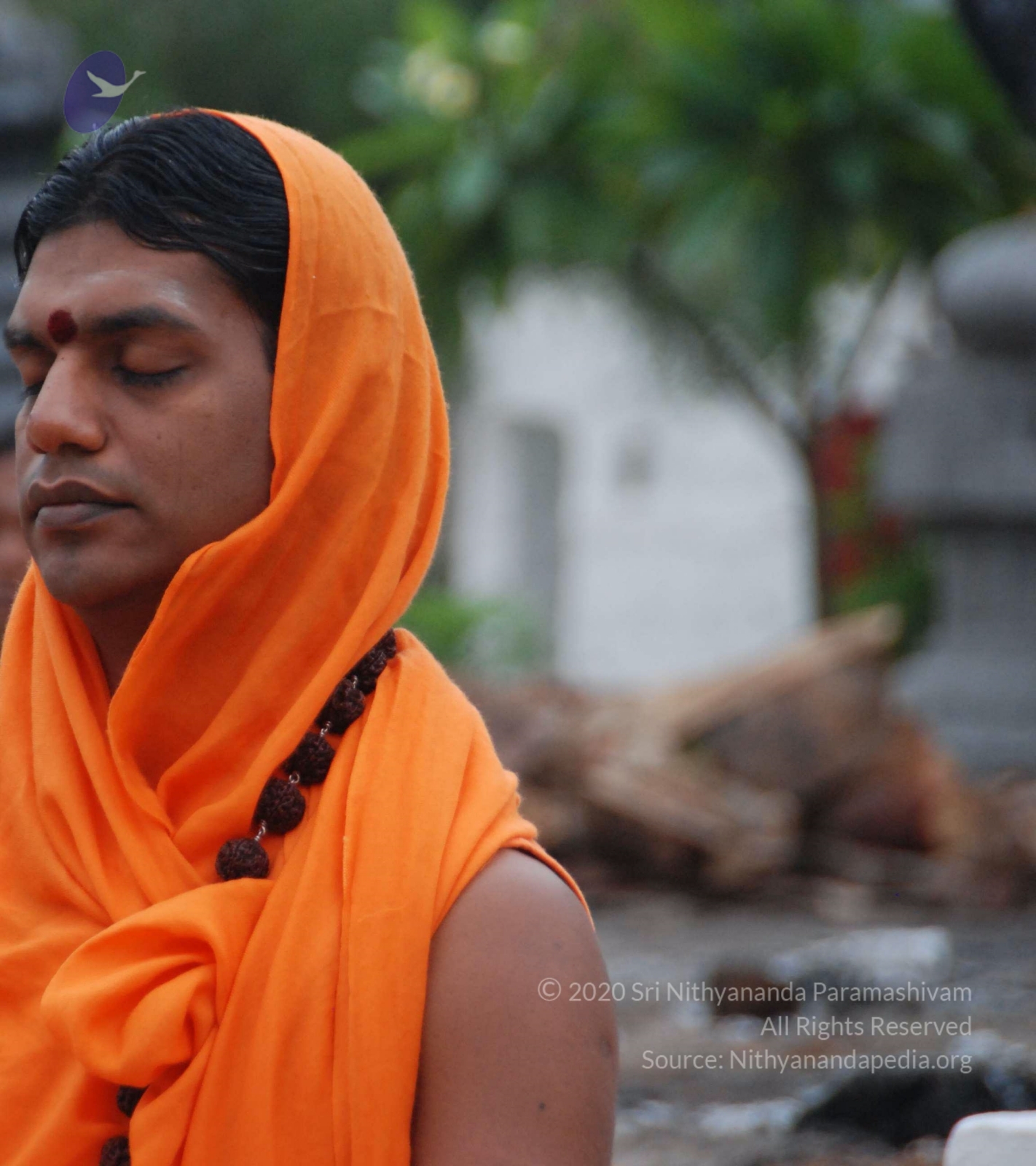 20100729_Photo_1029_DSC_5664_CMP_WM