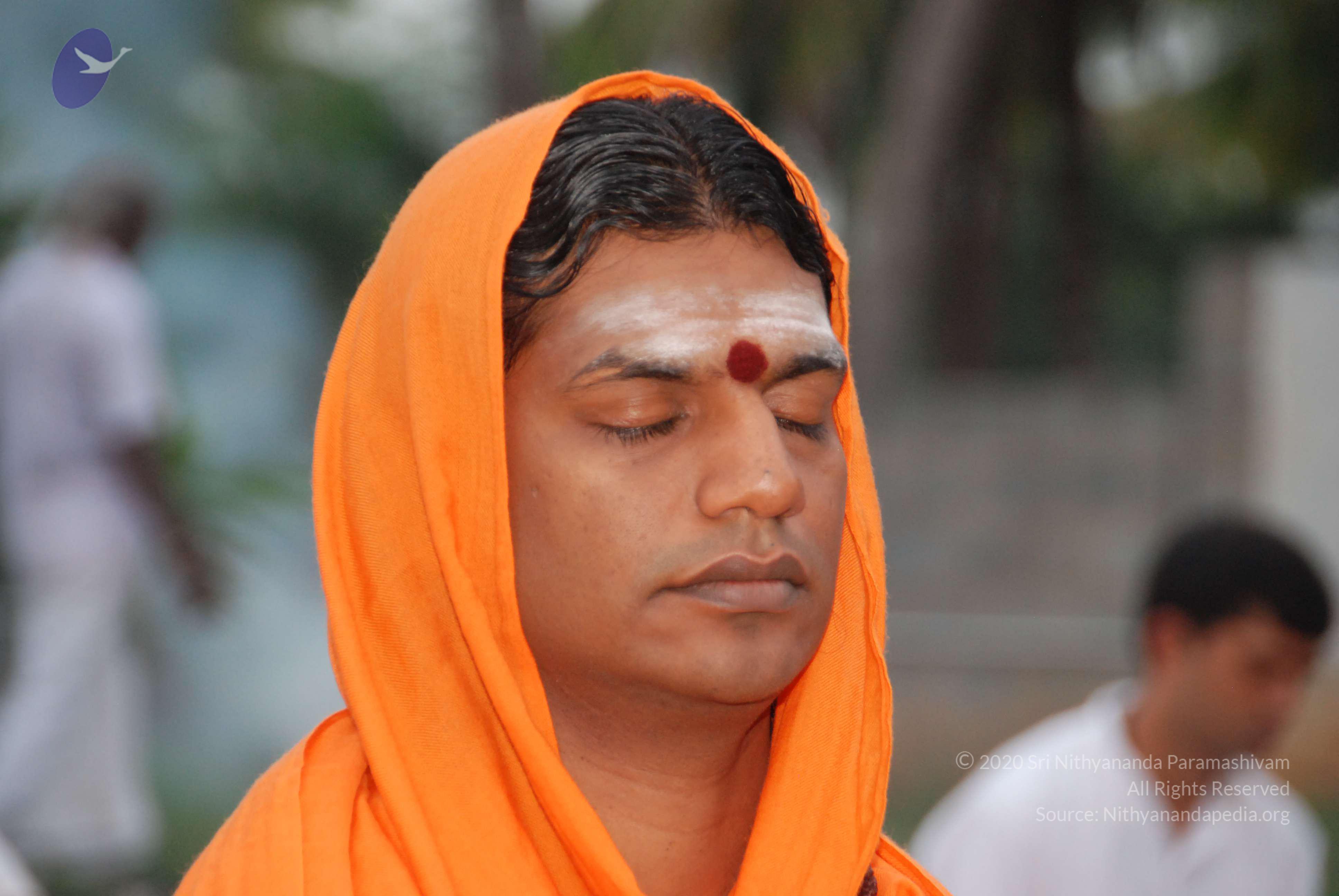 20100729_Photo_1031_DSC_5628_CMP_WM