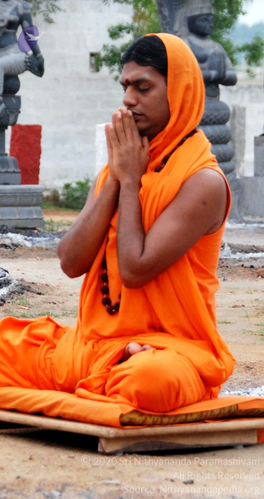 20100729_Photo_1036_DSC_5670_CMP_WM