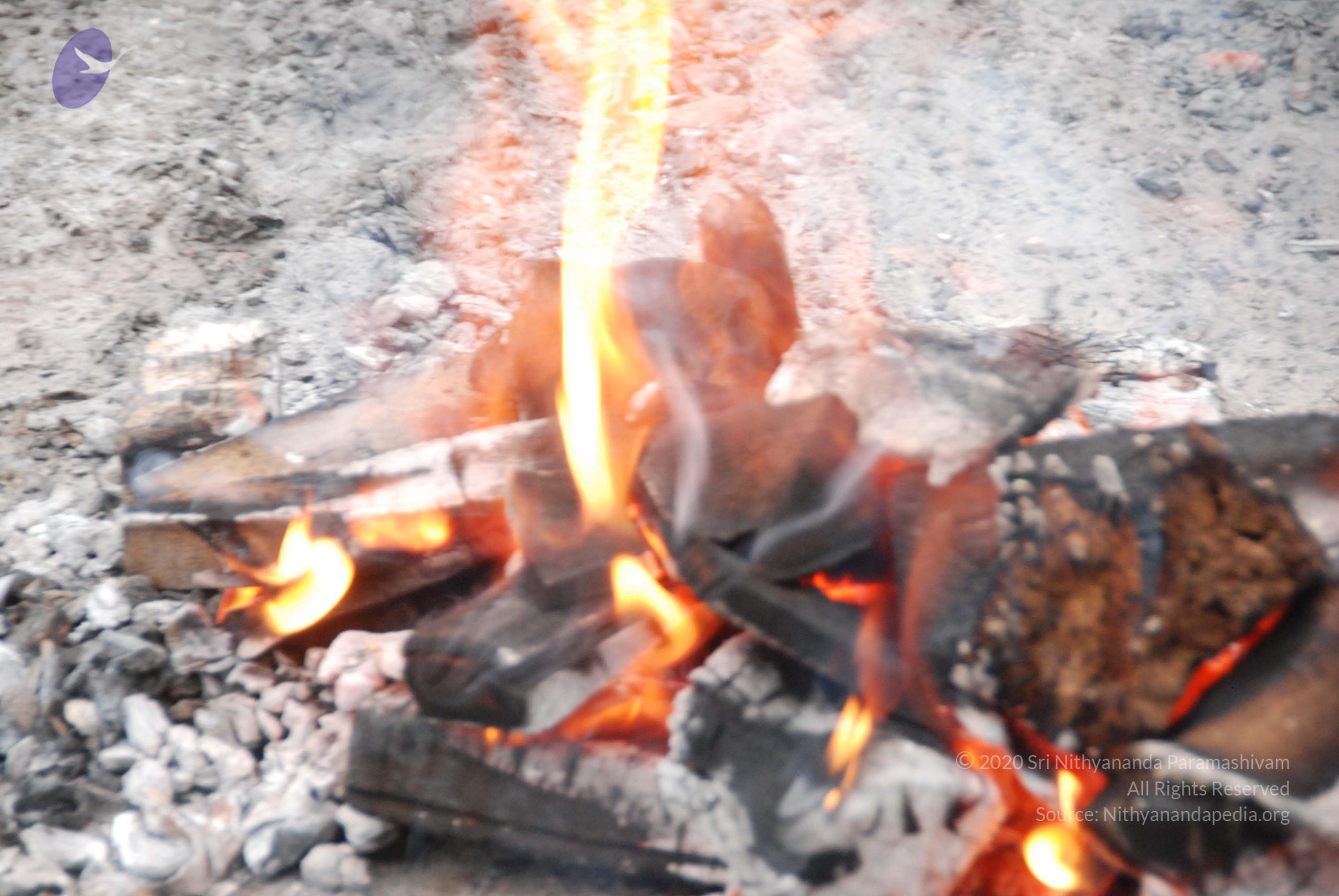 20100729_Photo_1037_DSC_5647_CMP_WM