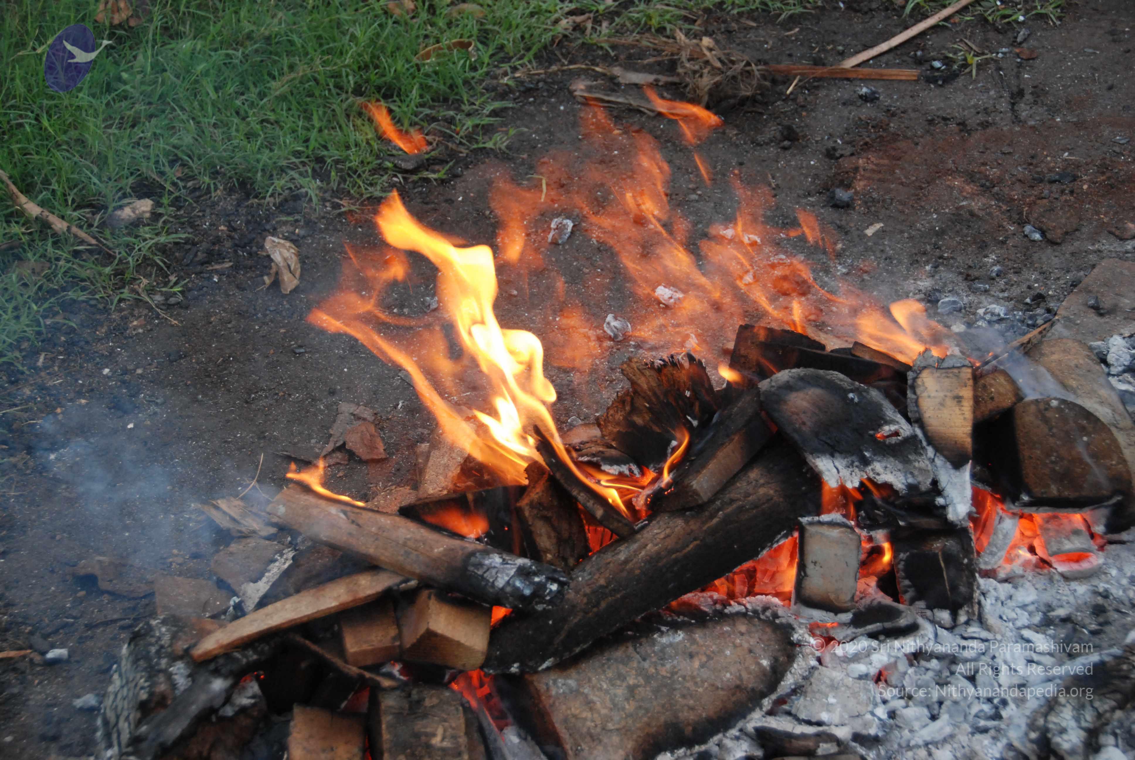 20100729_Photo_1038_DSC_5639_CMP_WM