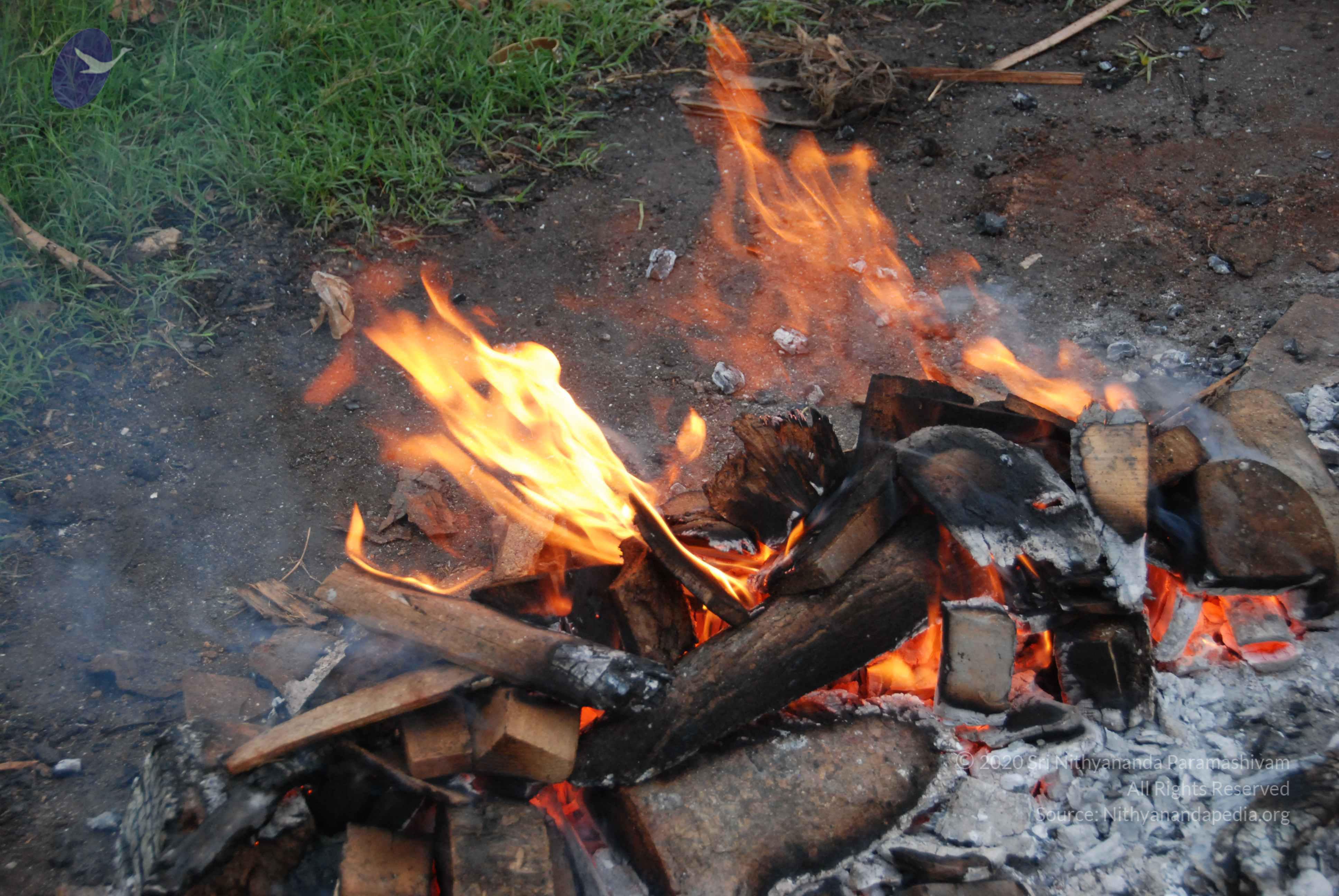 20100729_Photo_1041_DSC_5640_CMP_WM