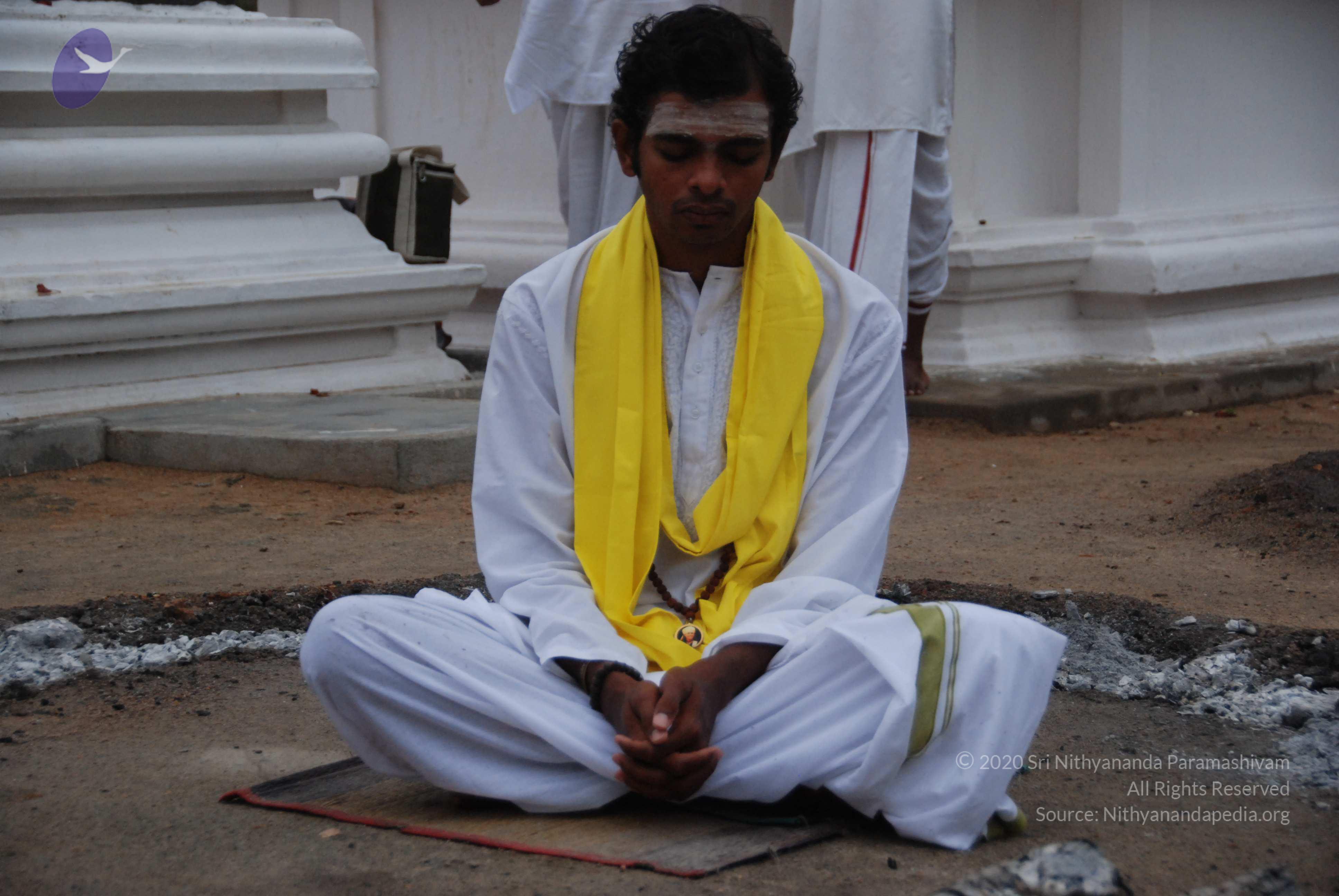 20100729_Photo_1042_DSC_5666_CMP_WM