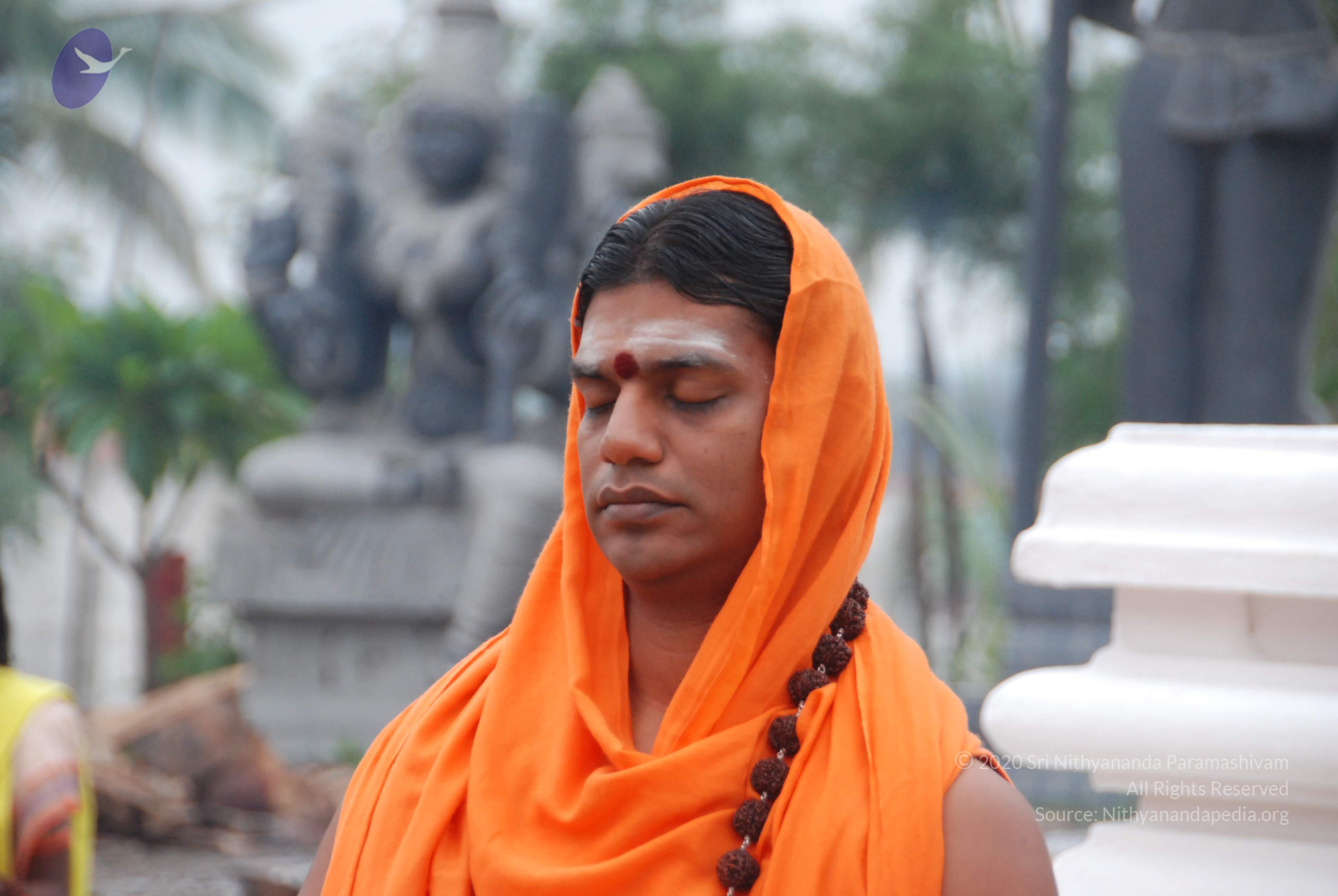 20100729_Photo_1046_DSC_5636_CMP_WM