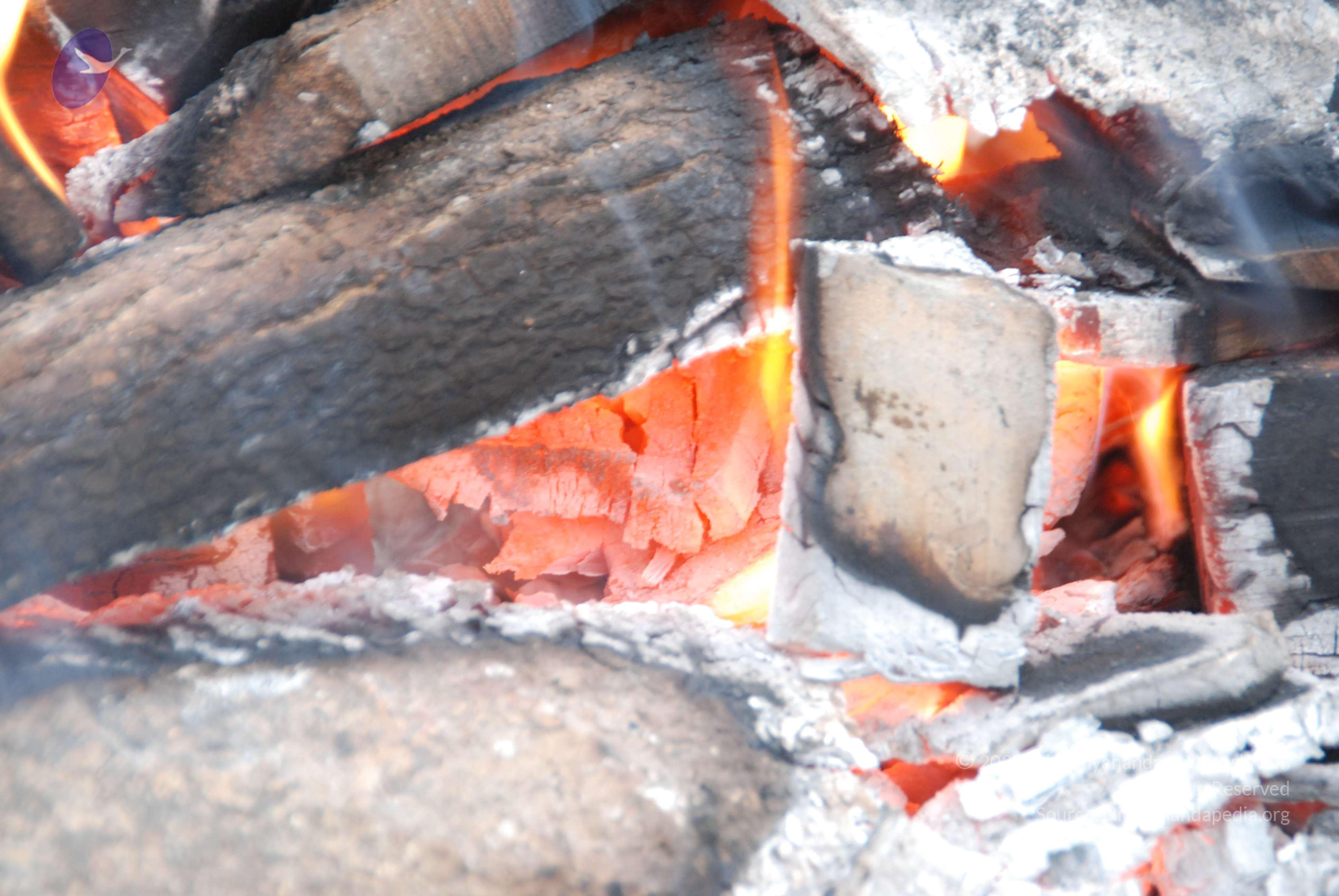 20100729_Photo_1050_DSC_5645_CMP_WM