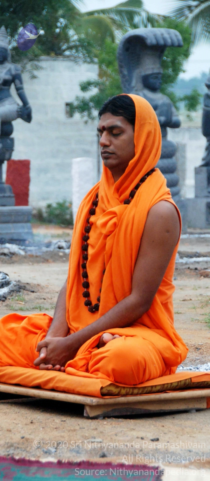 20100729_Photo_1051_DSC_5672_CMP_WM