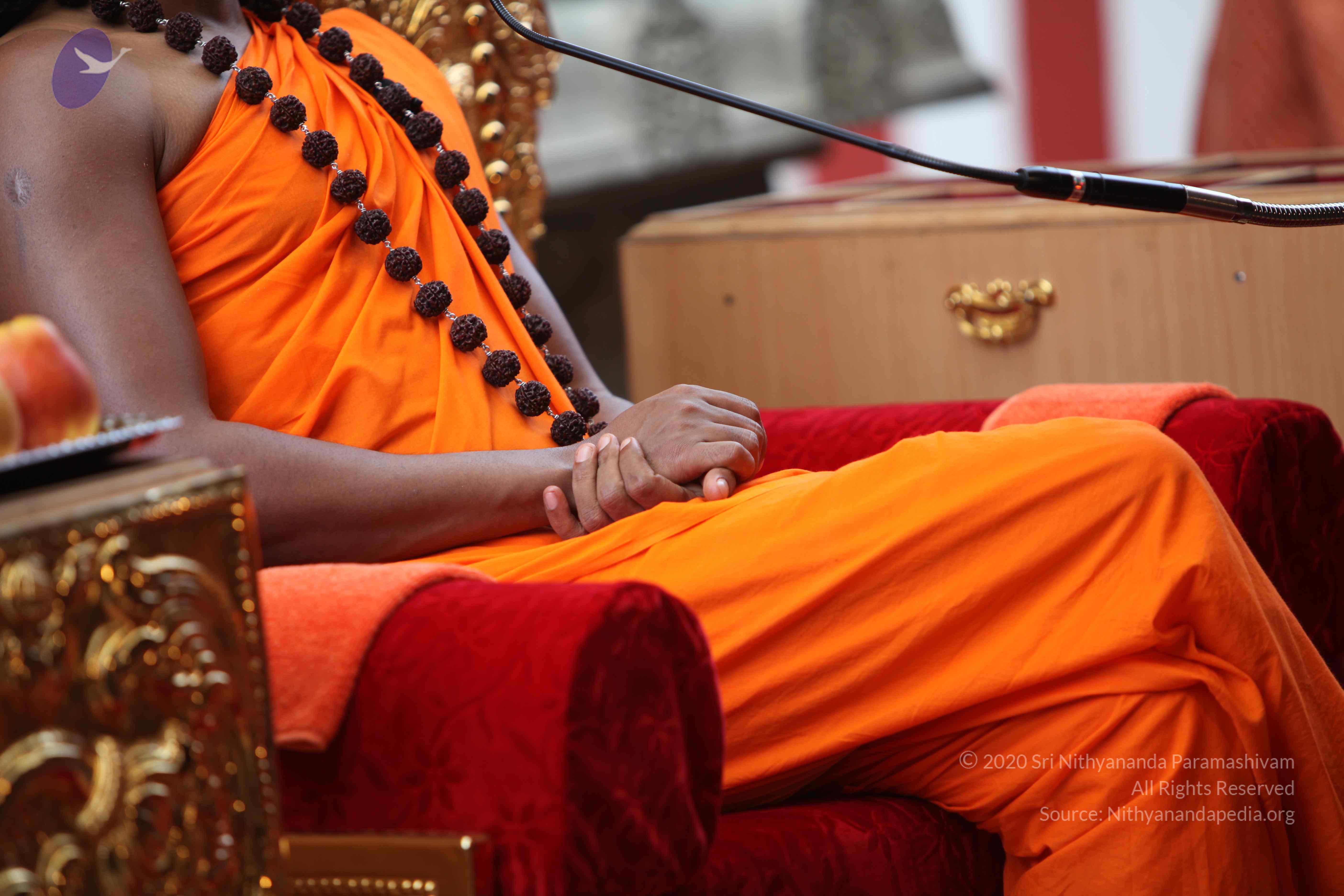 20101103_Photo_1003_IMG_9337_CMP_WM