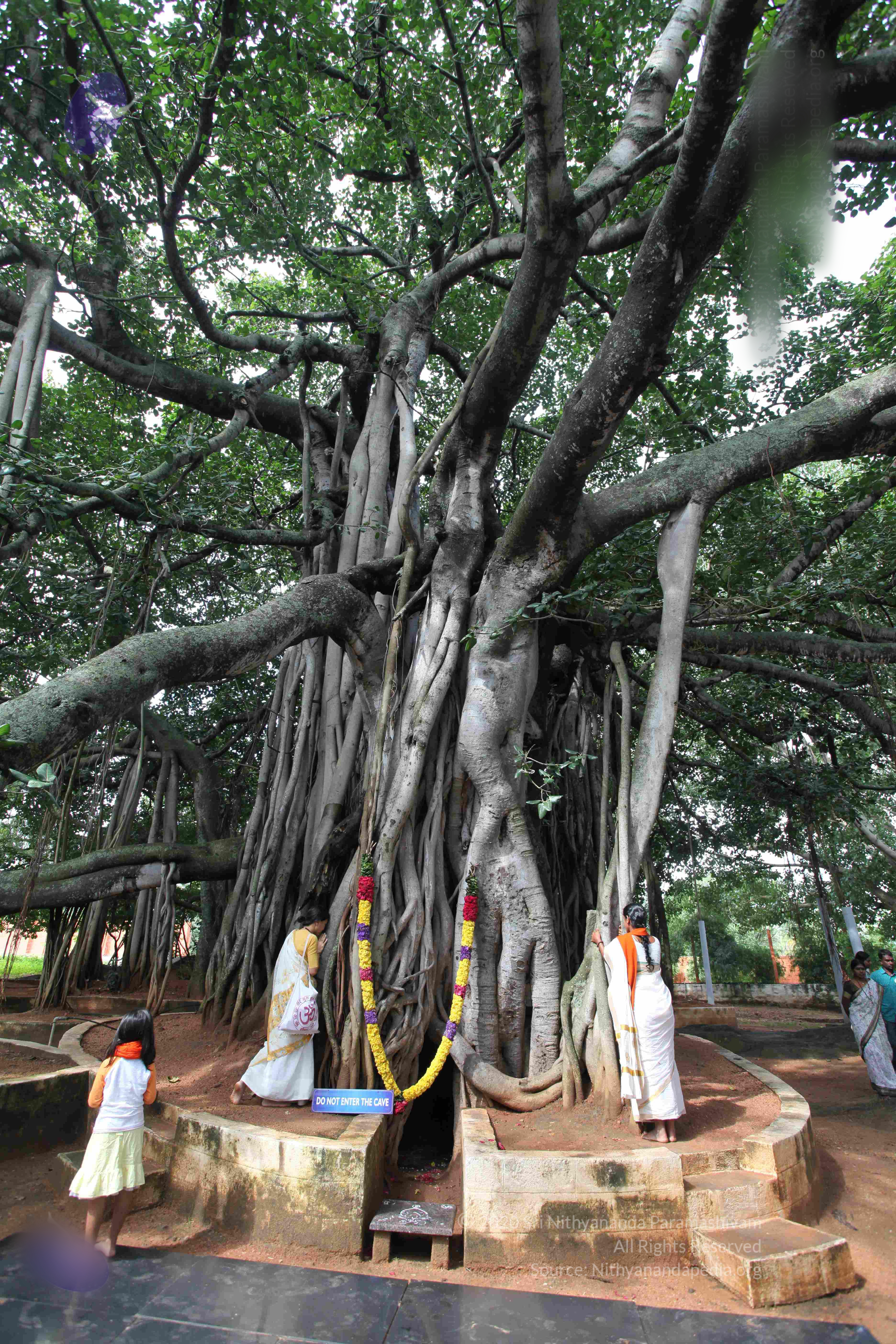 20101103_Photo_1111_IMG_9416_CMP_WM