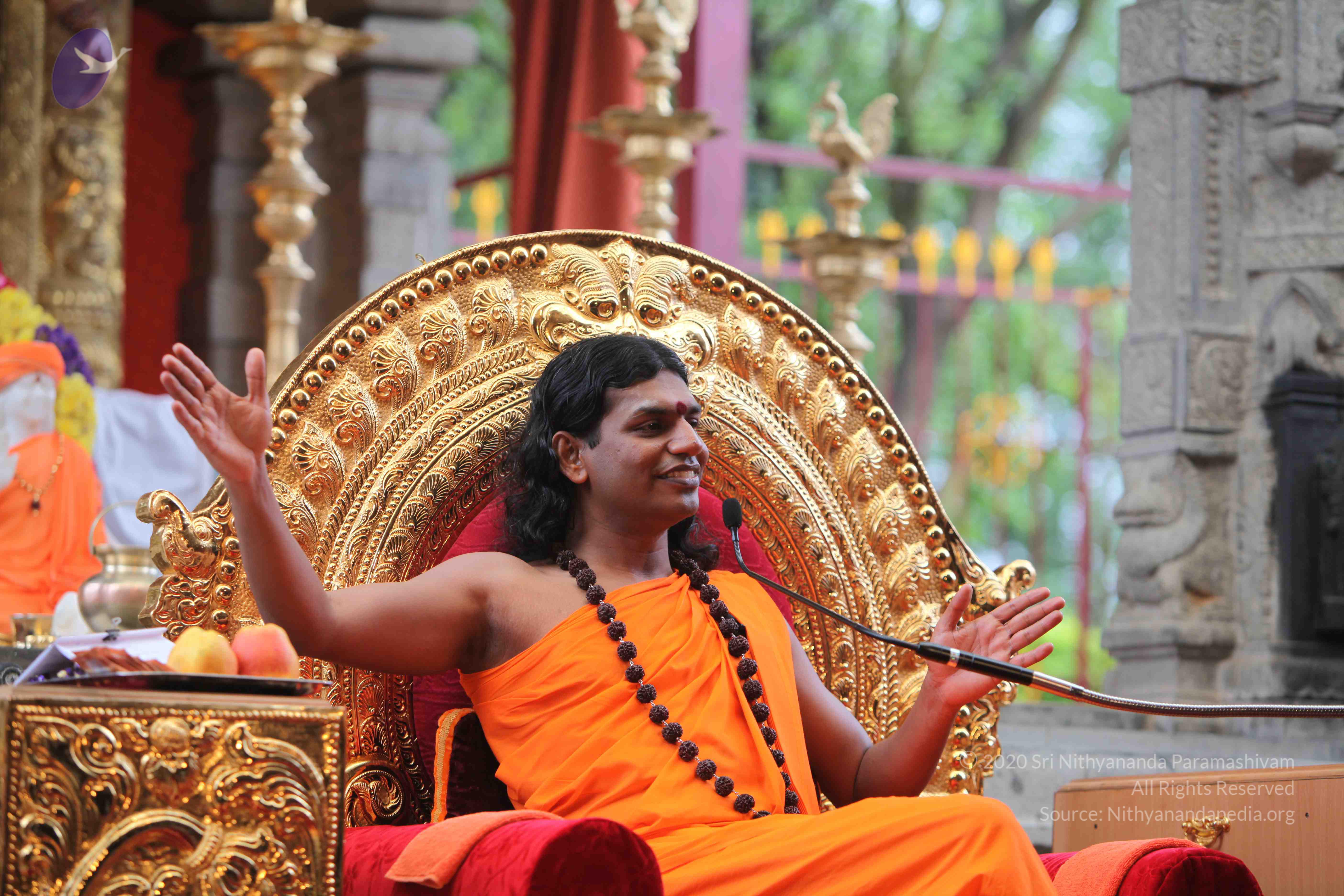 20101103_Photo_1168_IMG_9304_CMP_WM