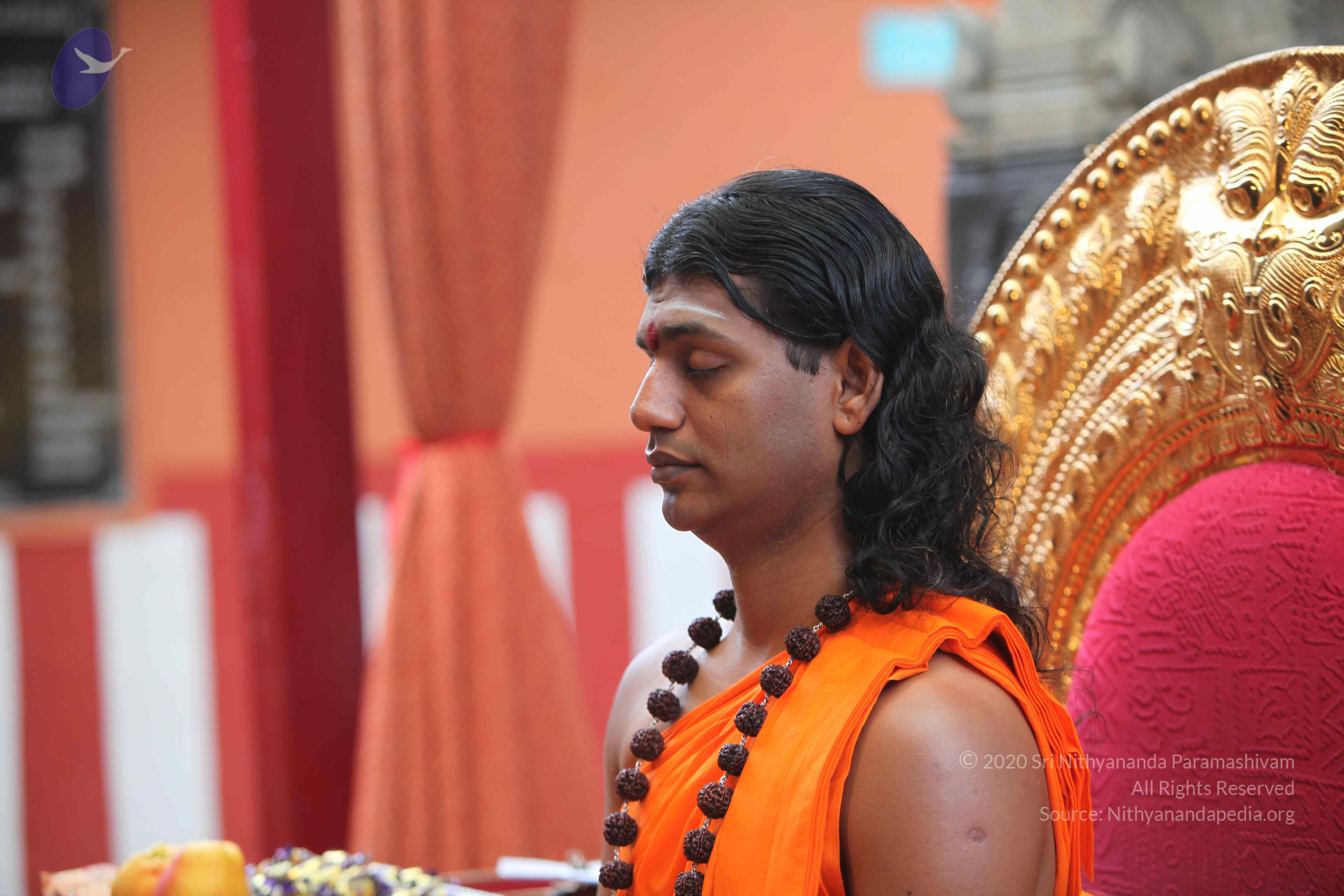 20101103_Photo_1178_IMG_9165_CMP_WM