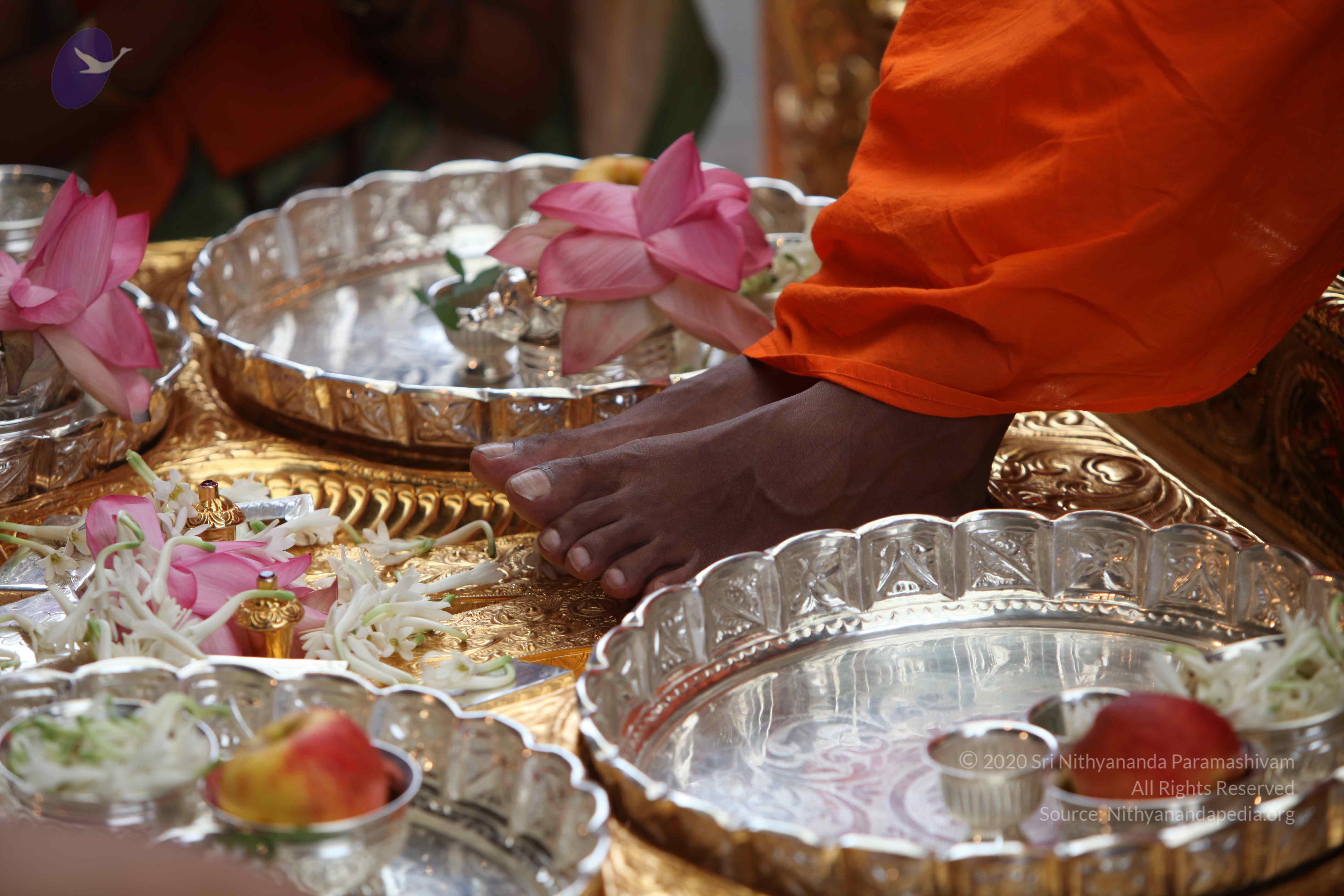 20101103_Photo_1197_IMG_9160_CMP_WM