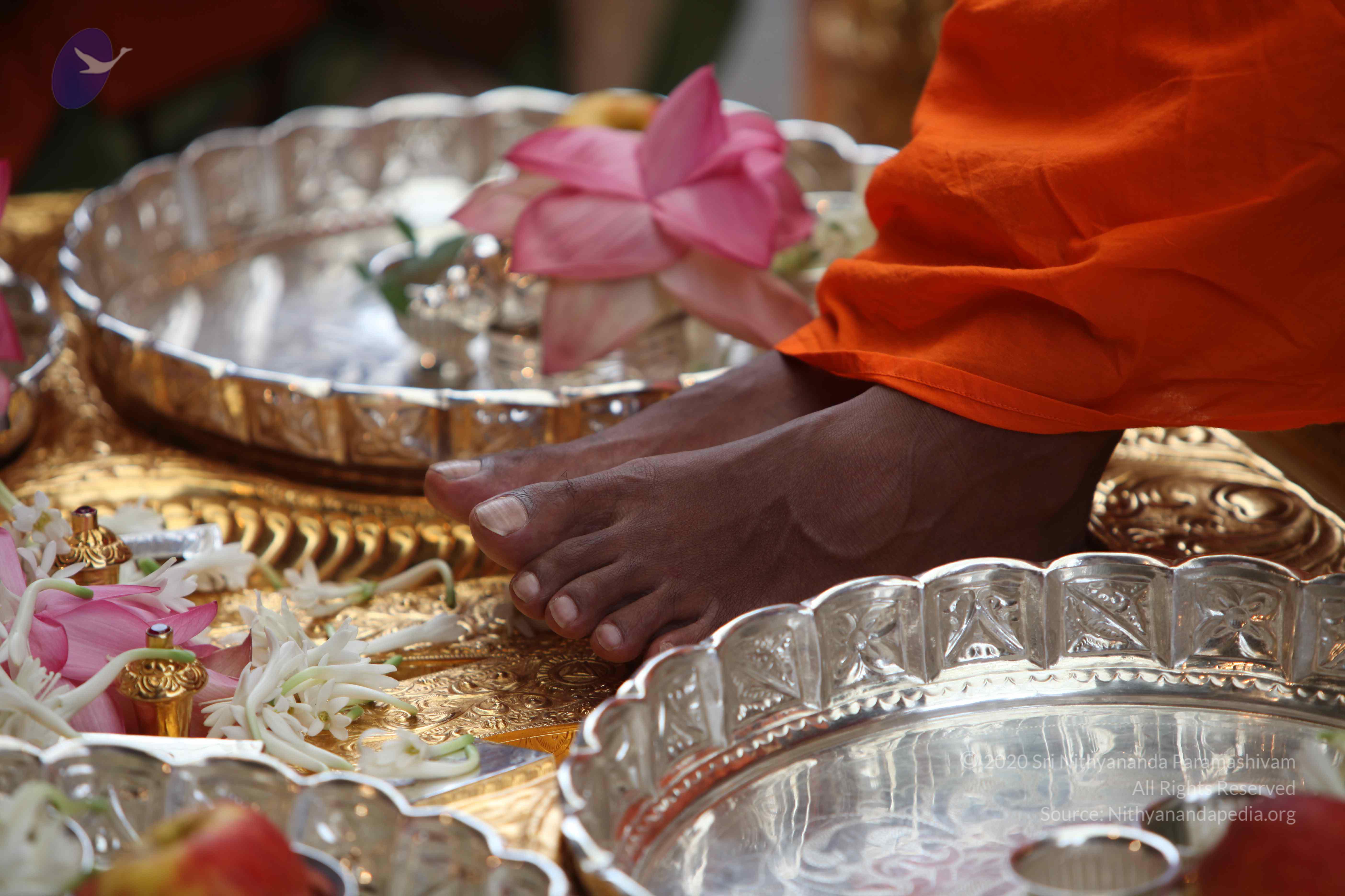 20101103_Photo_1198_IMG_9157_CMP_WM