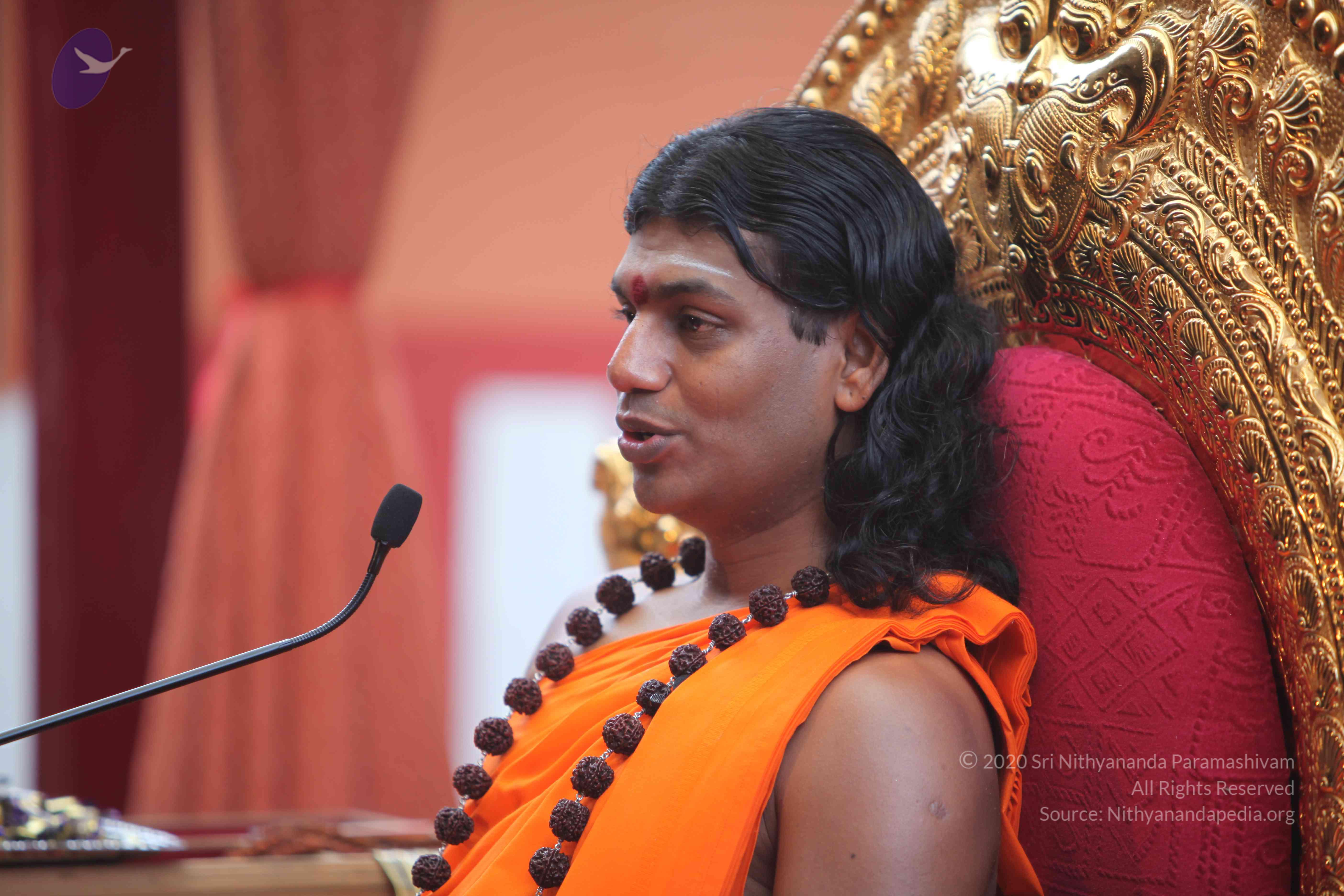 20101103_Photo_1229_IMG_9256_CMP_WM