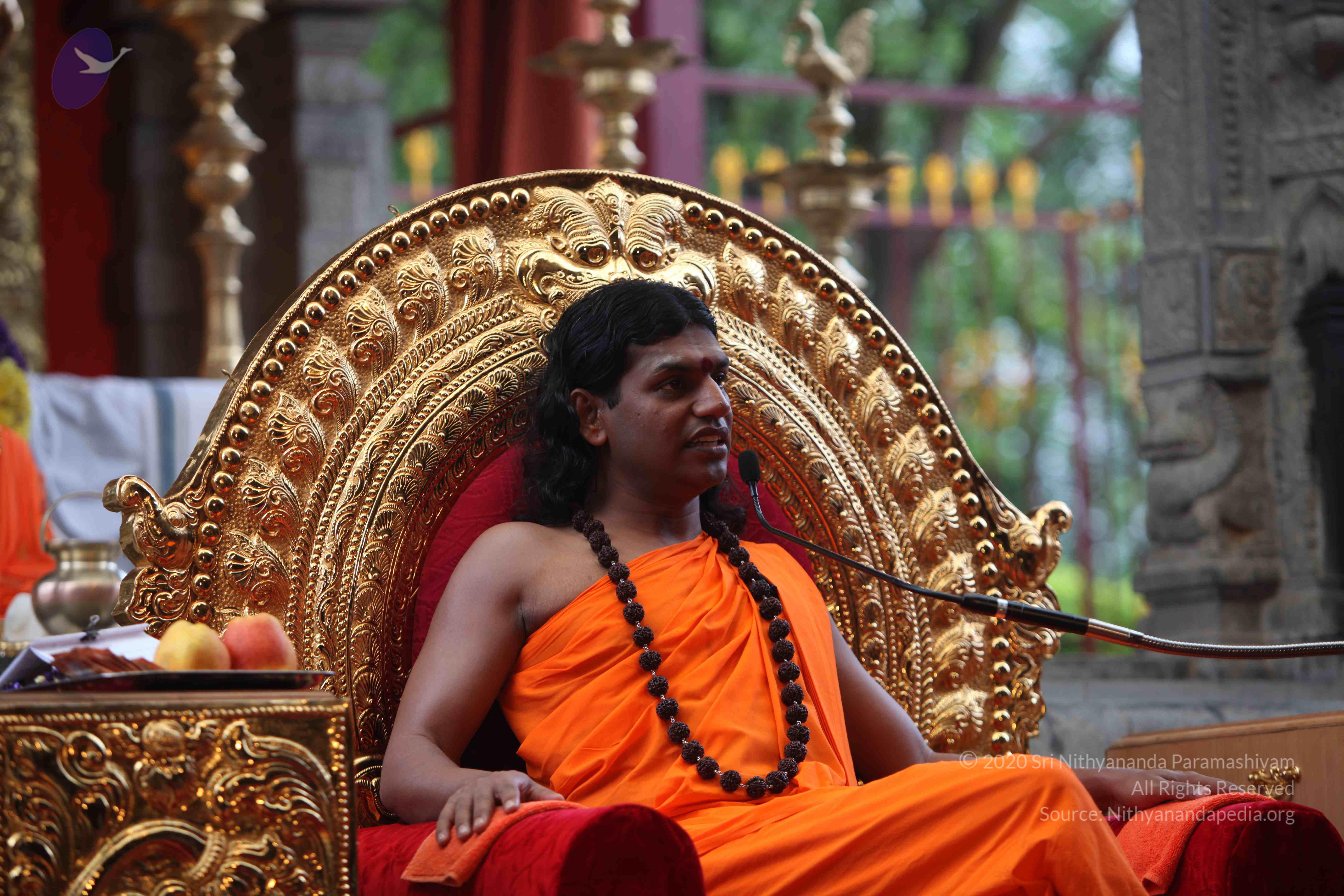 20101103_Photo_1000_IMG_9289_CMP_WM