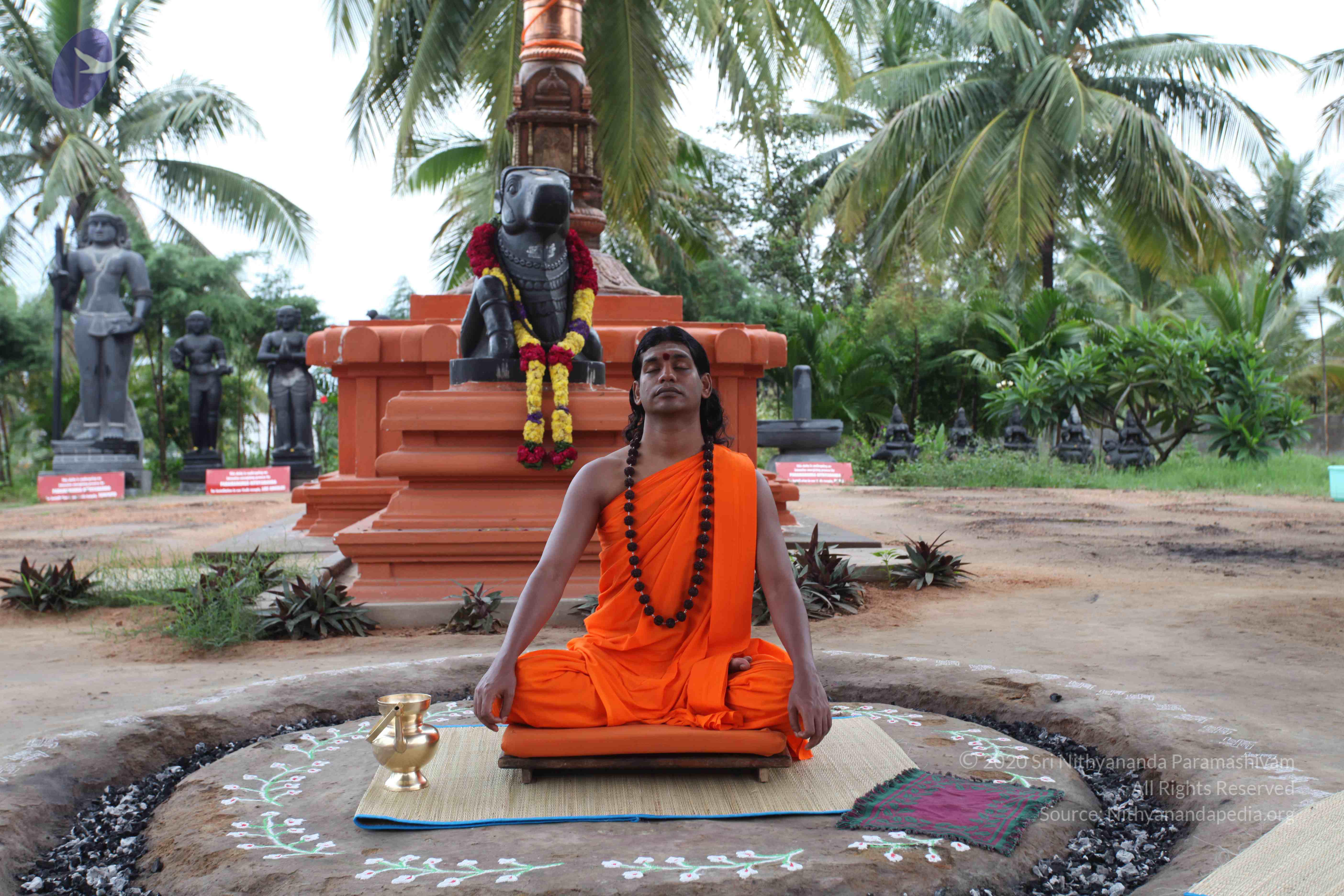 20101103_Photo_1001_IMG_9096_CMP_WM