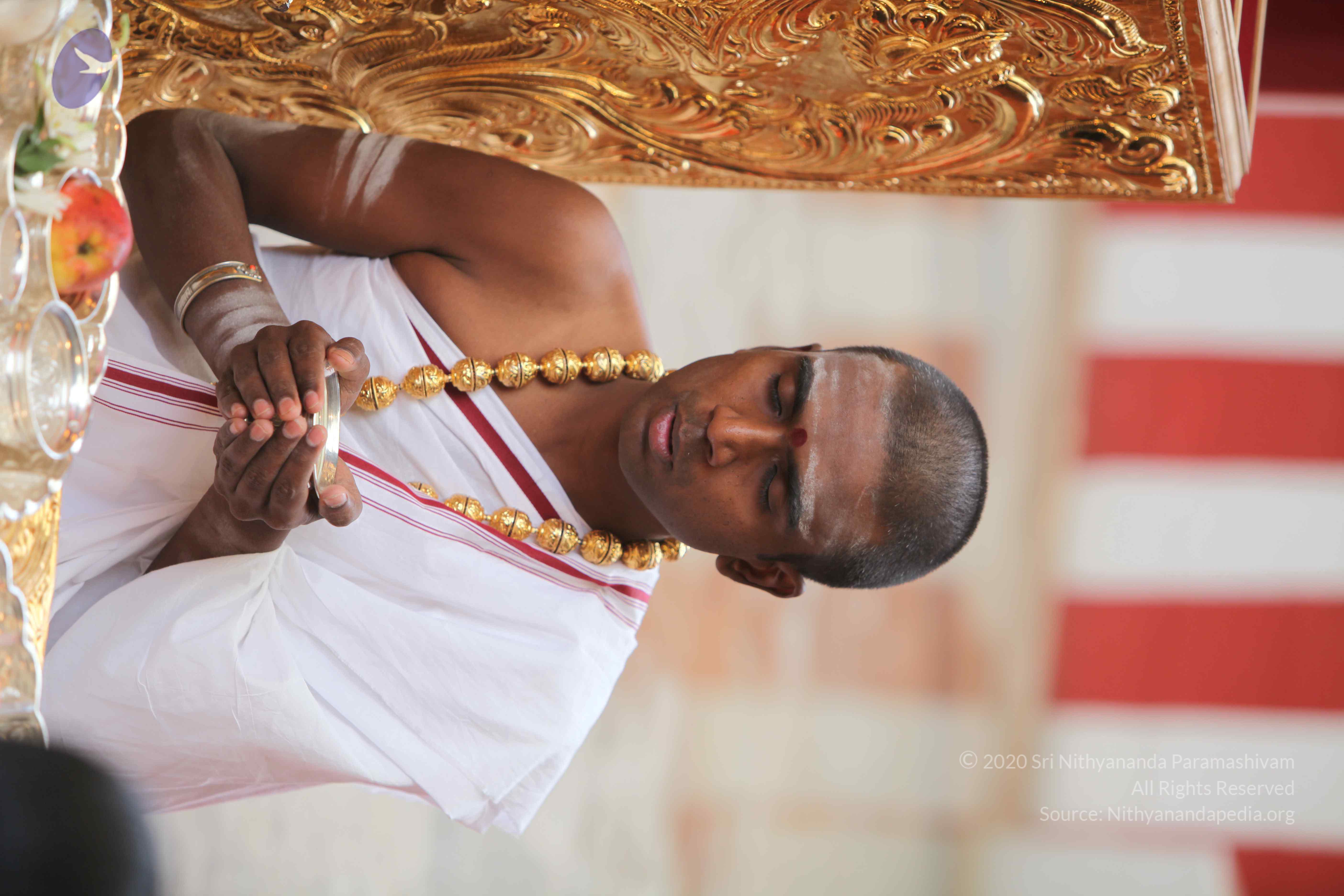 20101103_Photo_1002_IMG_9182_CMP_WM