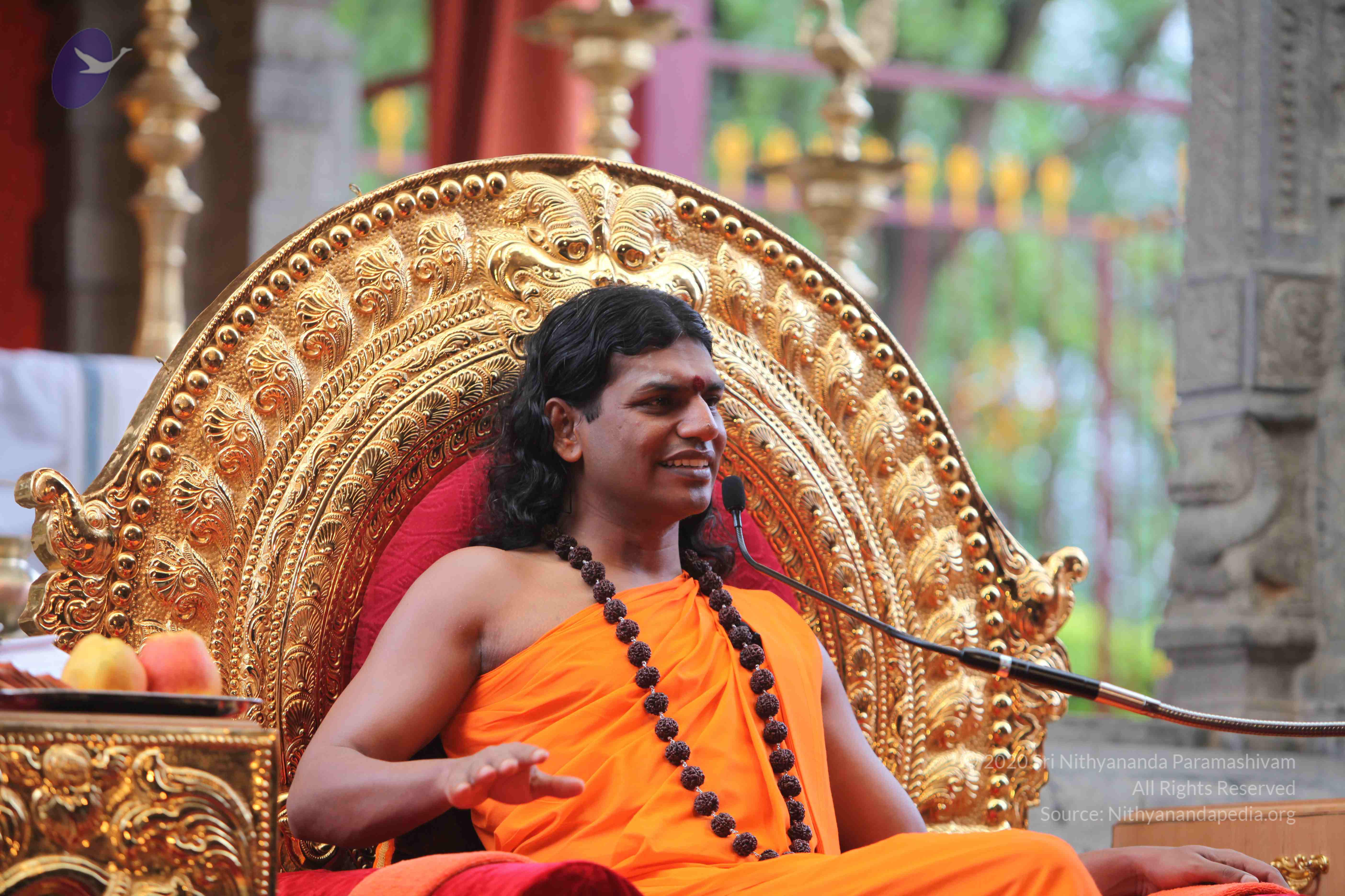 20101103_Photo_1004_IMG_9300_CMP_WM