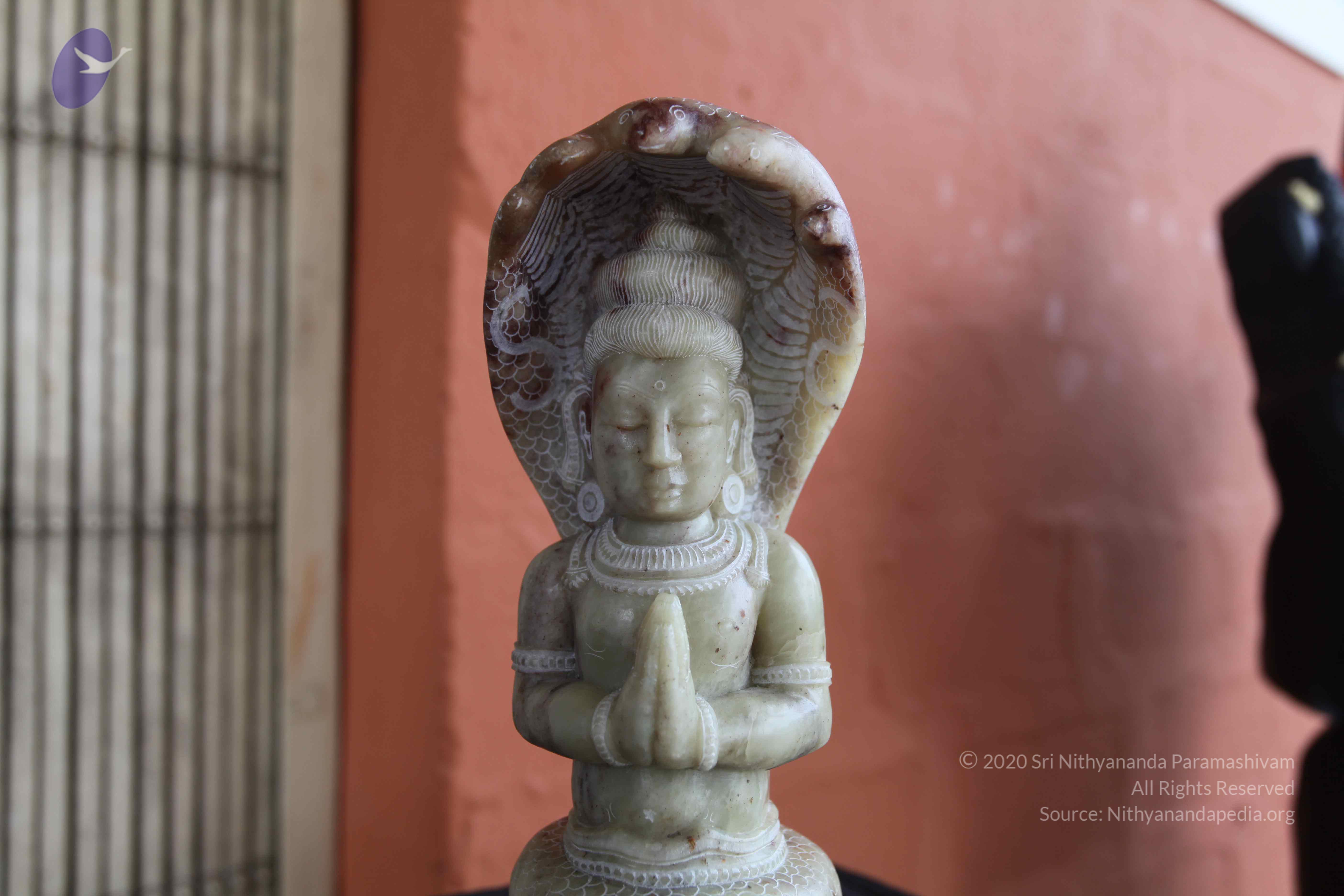 20101103_Photo_1010_IMG_9400_CMP_WM