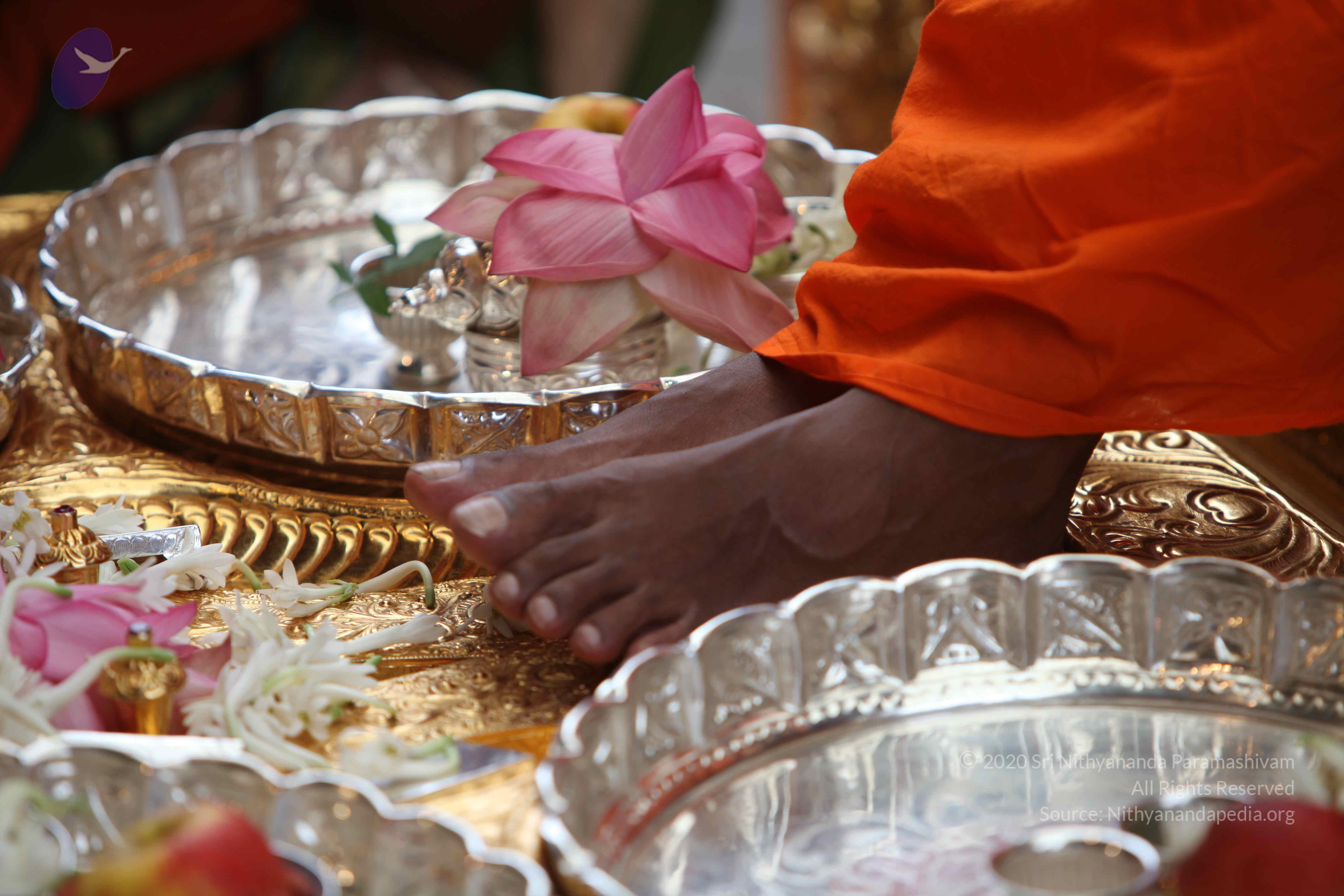 20101103_Photo_1016_IMG_9156_CMP_WM