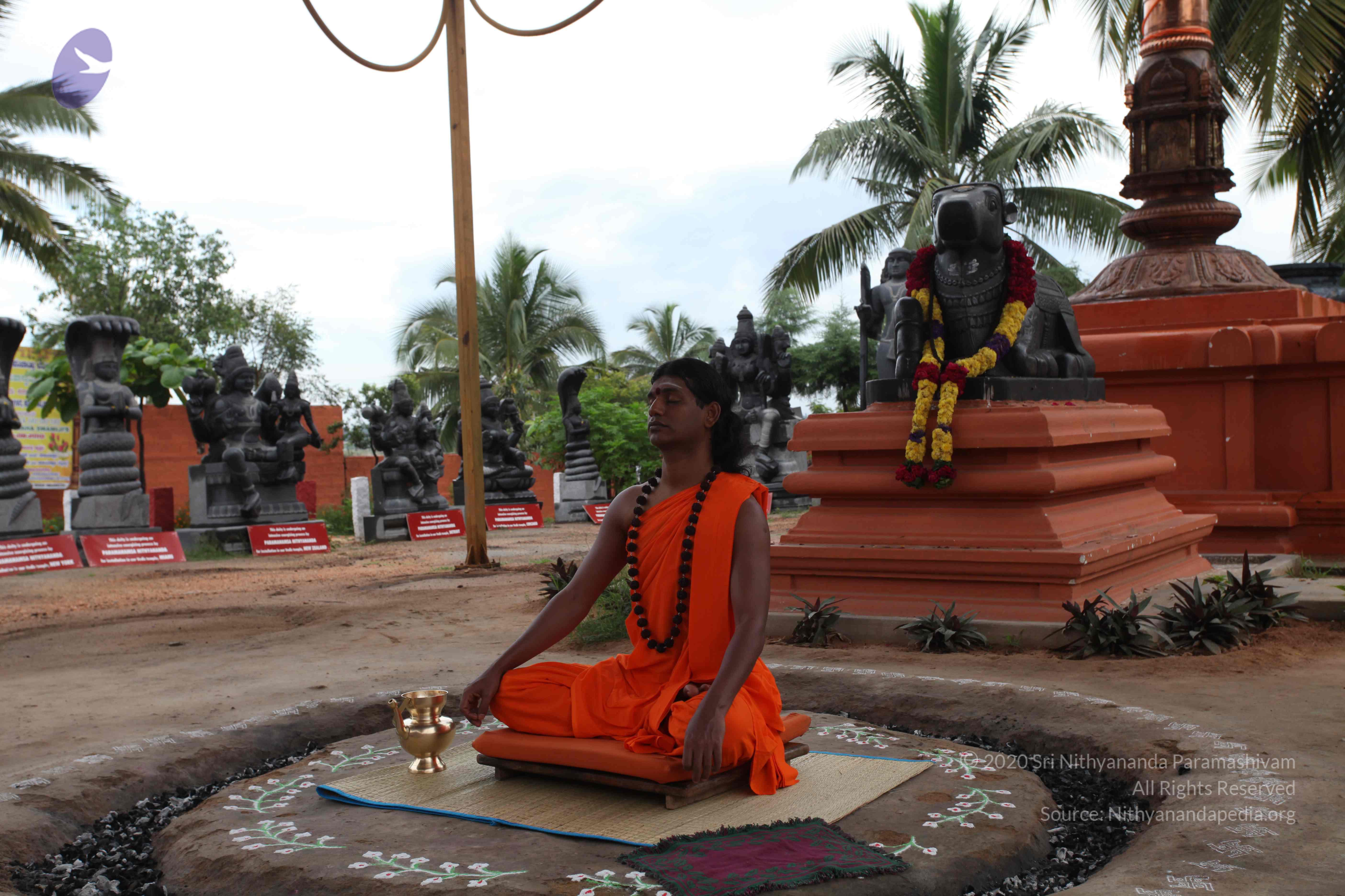 20101103_Photo_1017_IMG_9103_CMP_WM