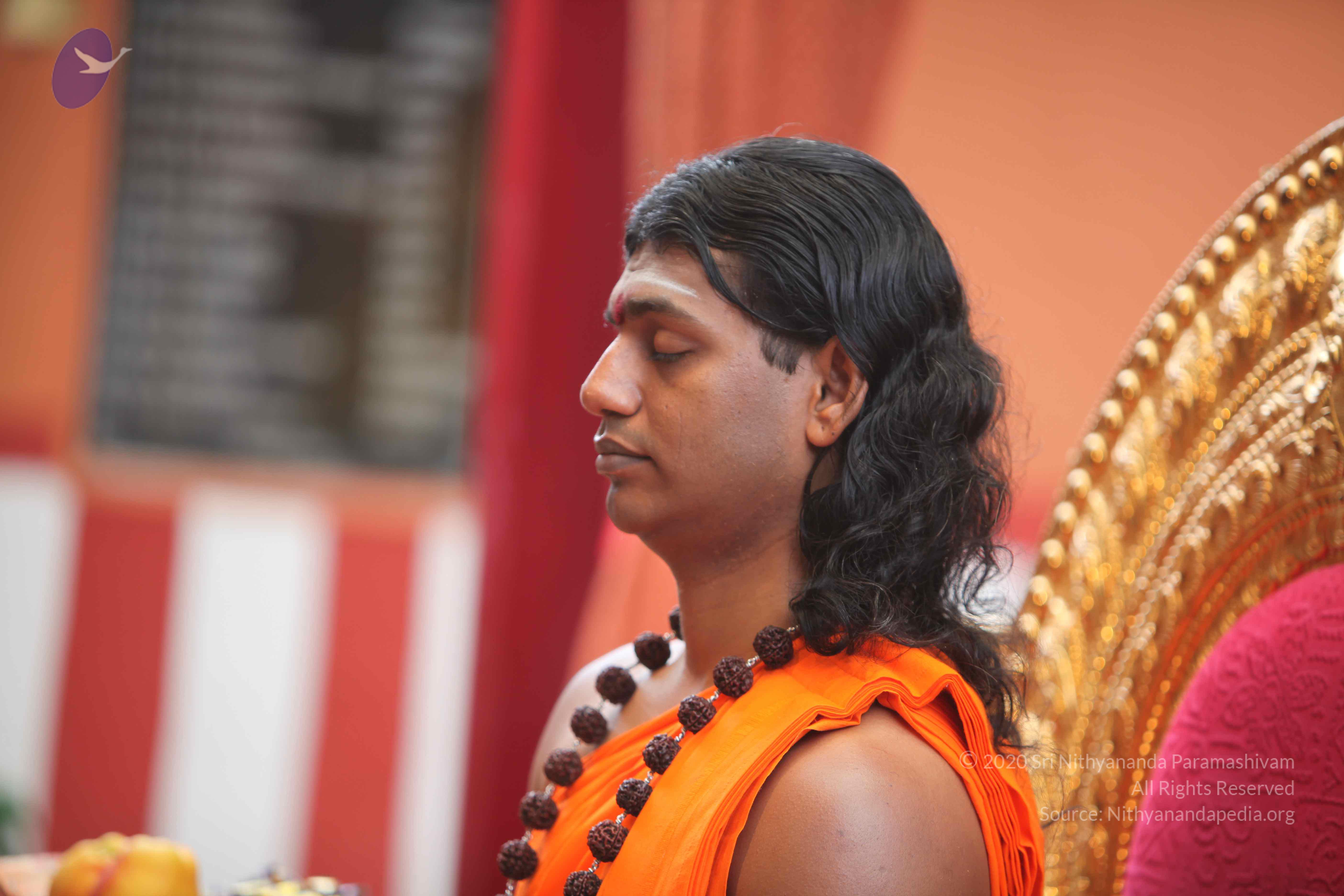 20101103_Photo_1023_IMG_9147_CMP_WM