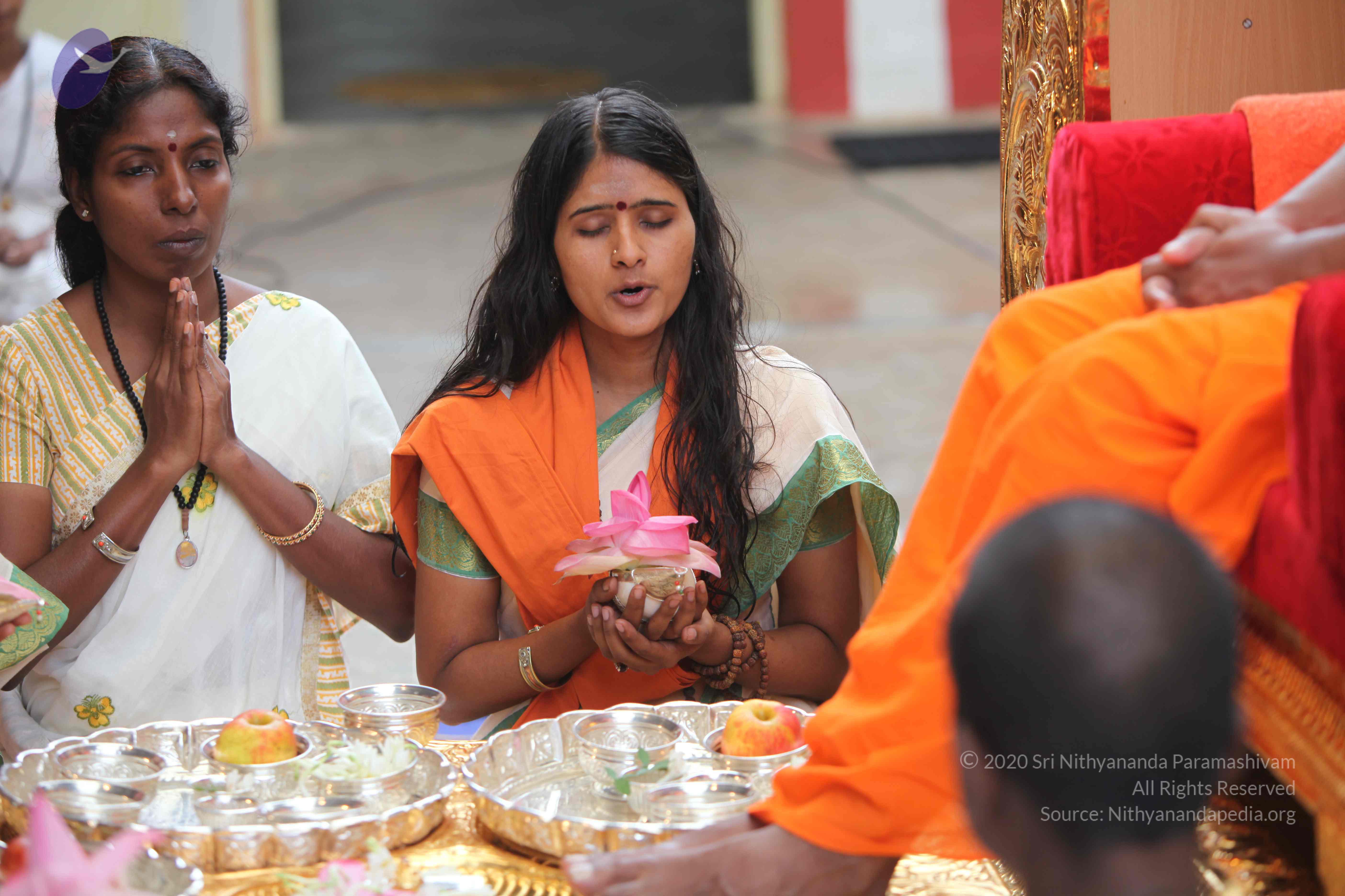 20101103_Photo_1024_IMG_9170_CMP_WM