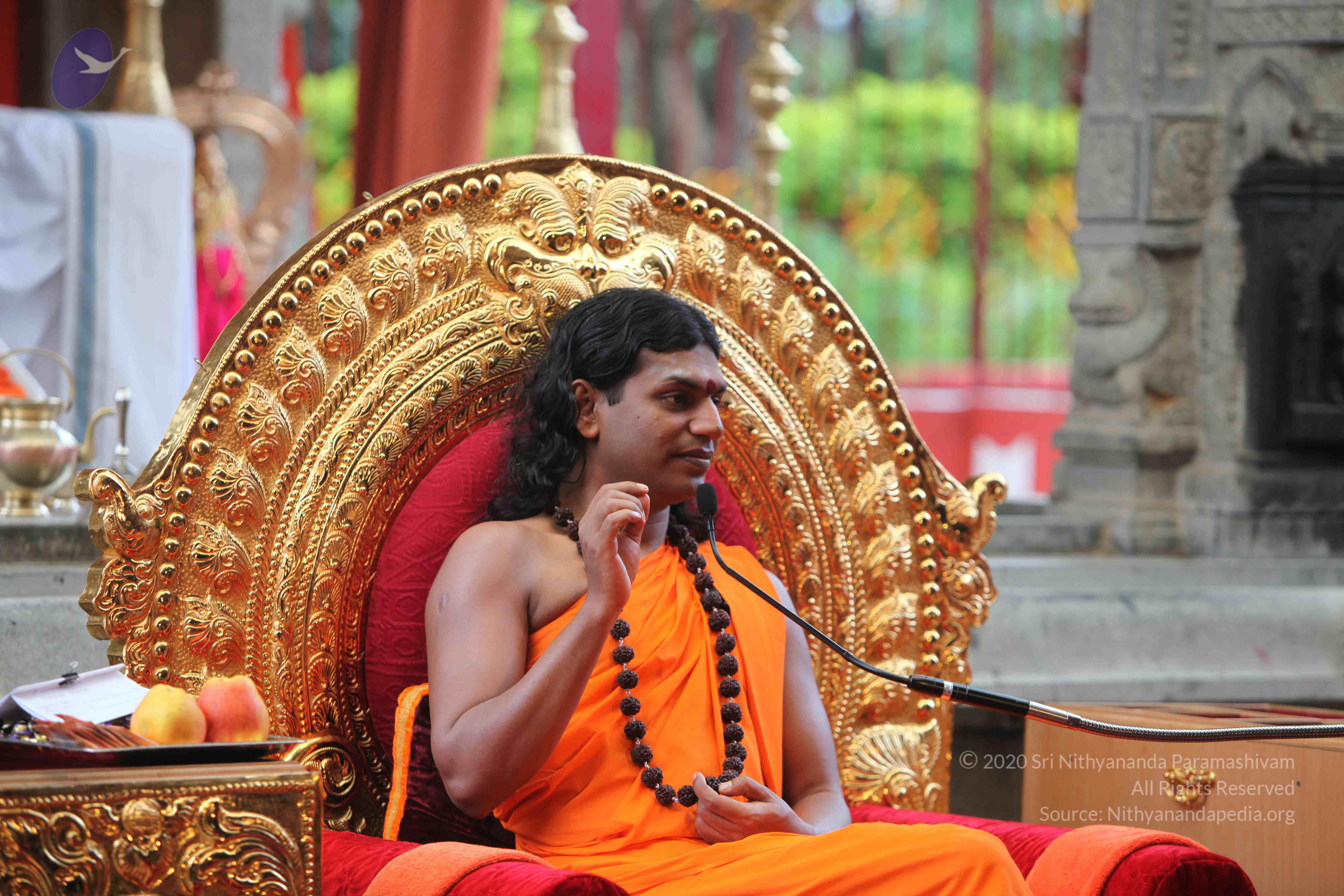 20101103_Photo_1026_IMG_9284_CMP_WM