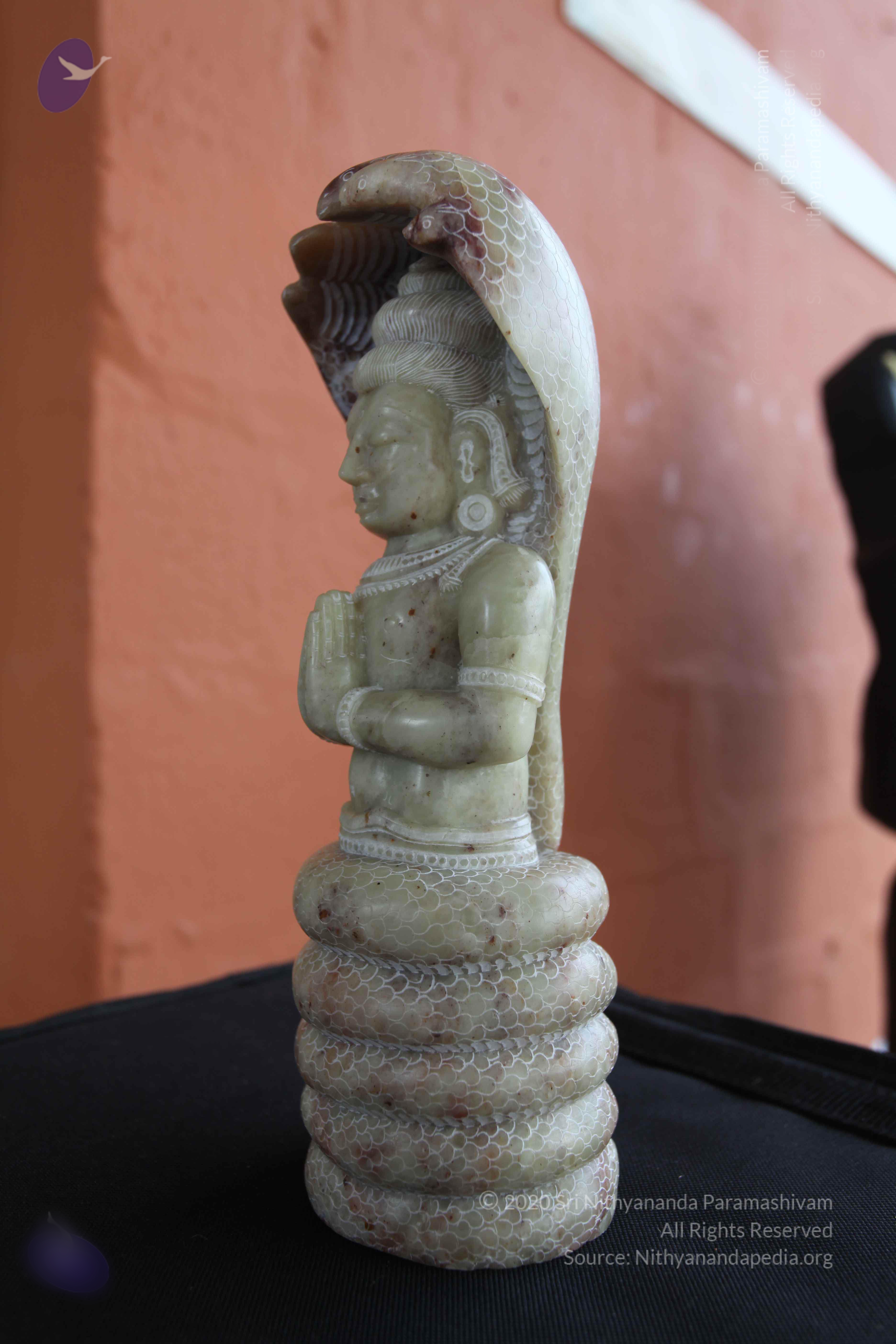 20101103_Photo_1027_IMG_9390_CMP_WM